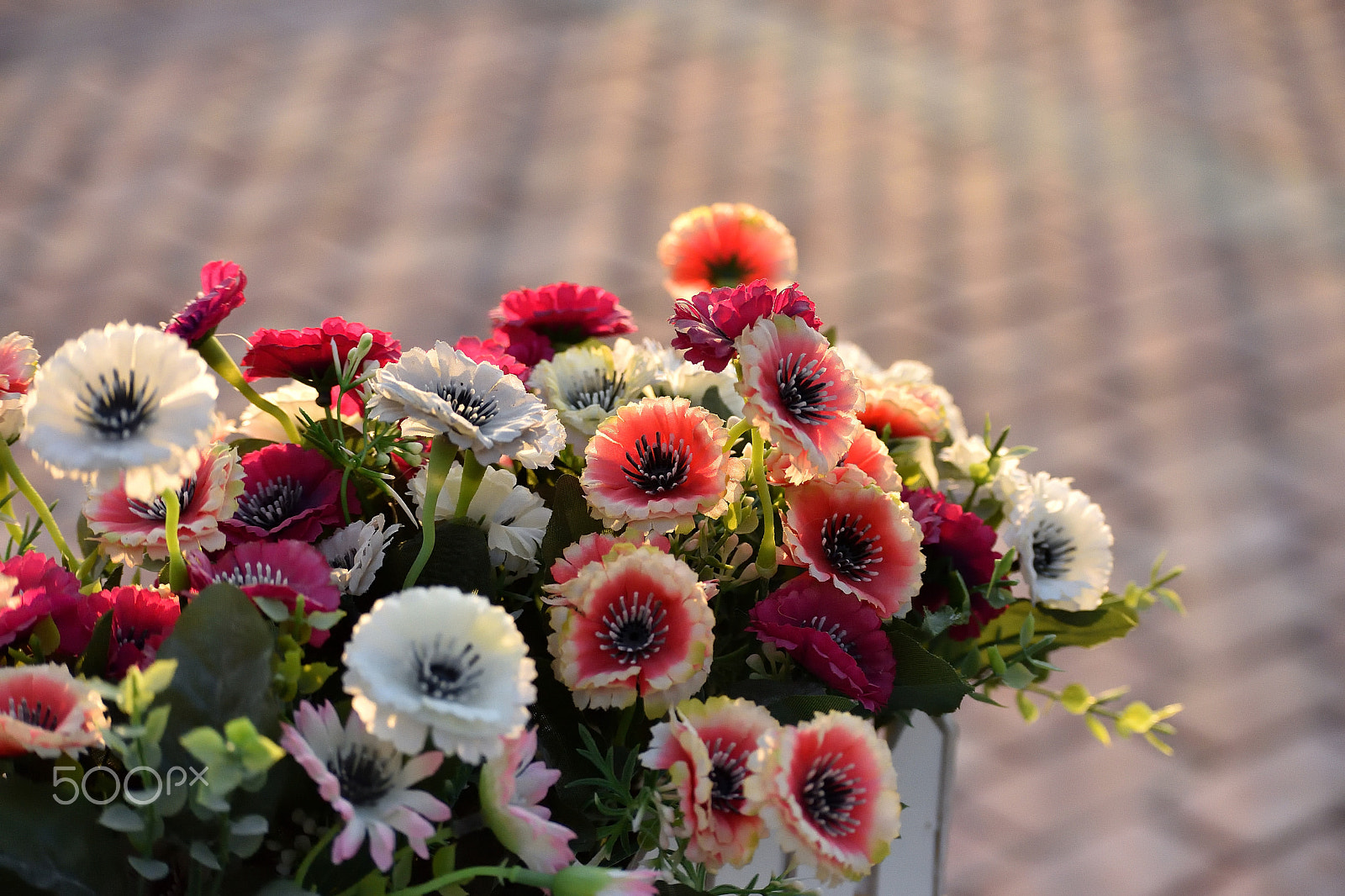 Nikon D5500 sample photo. 光与假花 photography