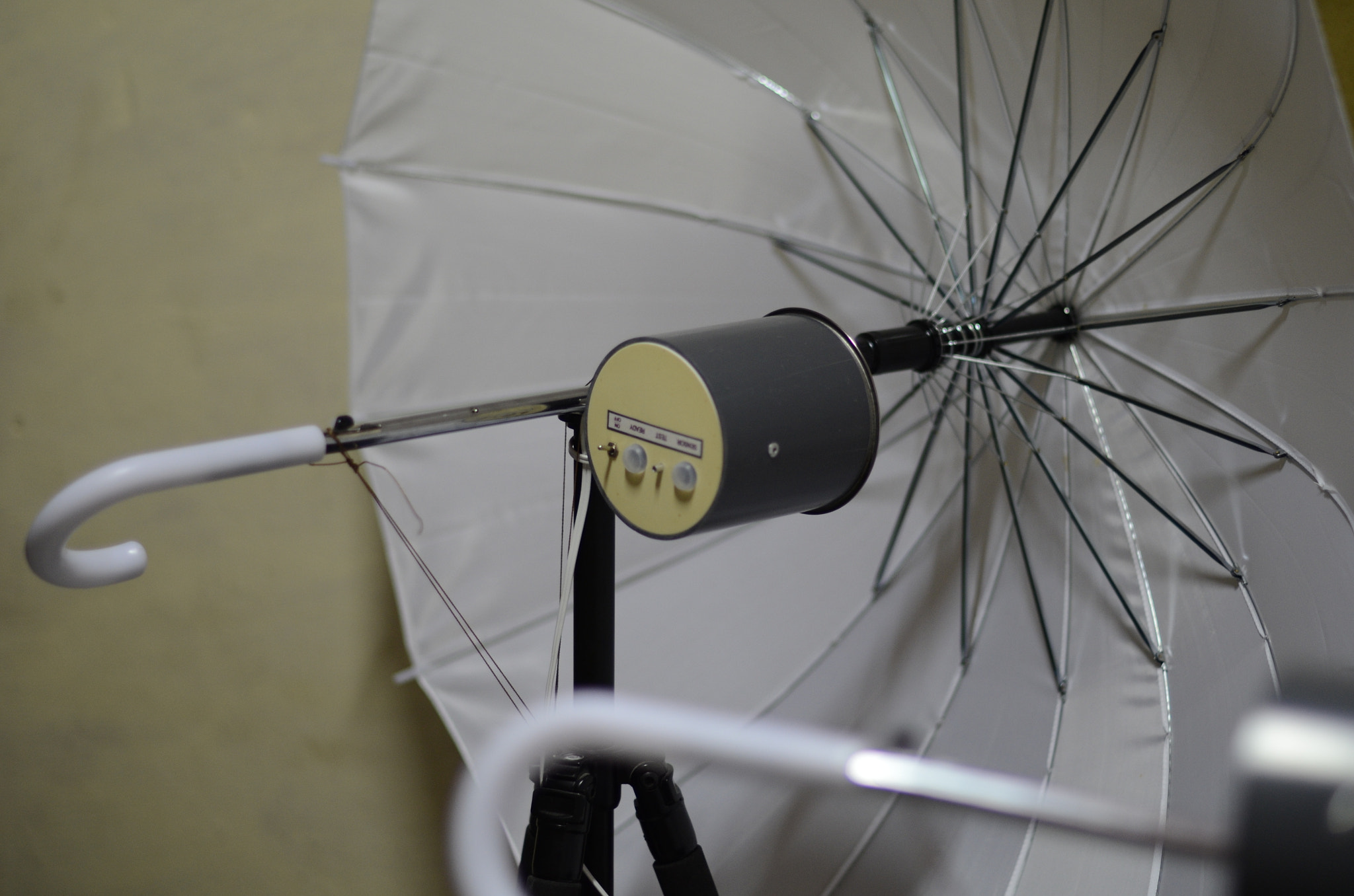 Nikon D5100 + Nikon AF-S Nikkor 50mm F1.4G sample photo. Dsc photography