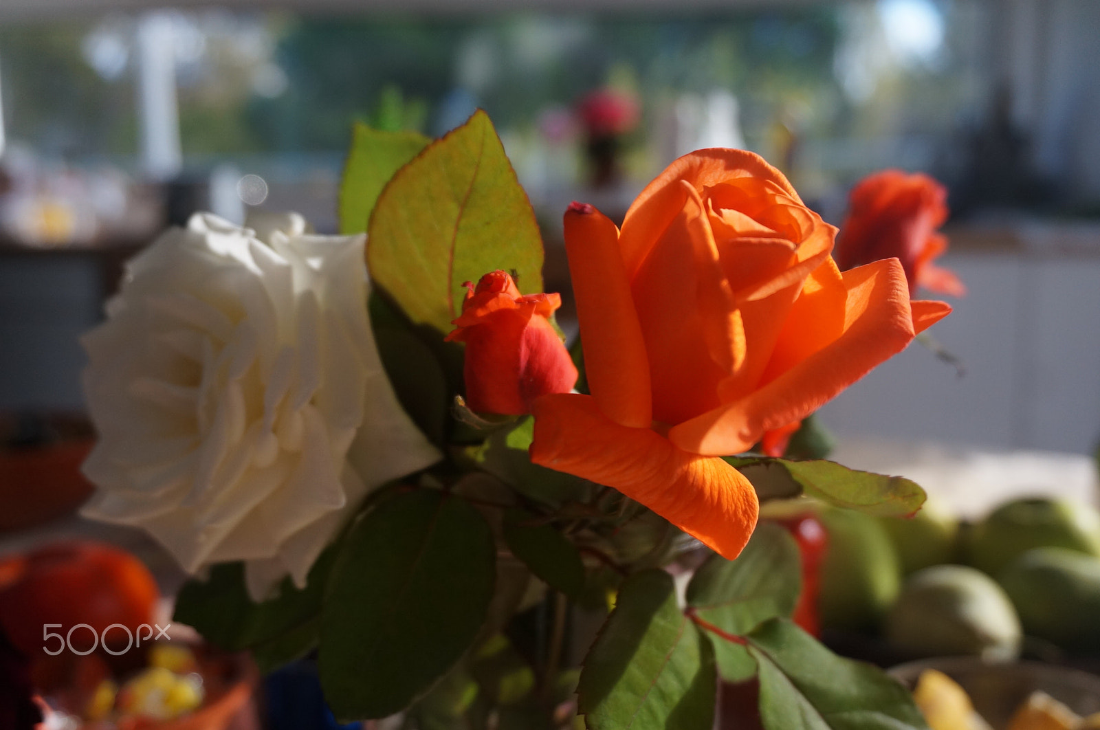 Sony Alpha NEX-5T + Sony E 18-50mm F4-5.6 sample photo. Still life with roses photography