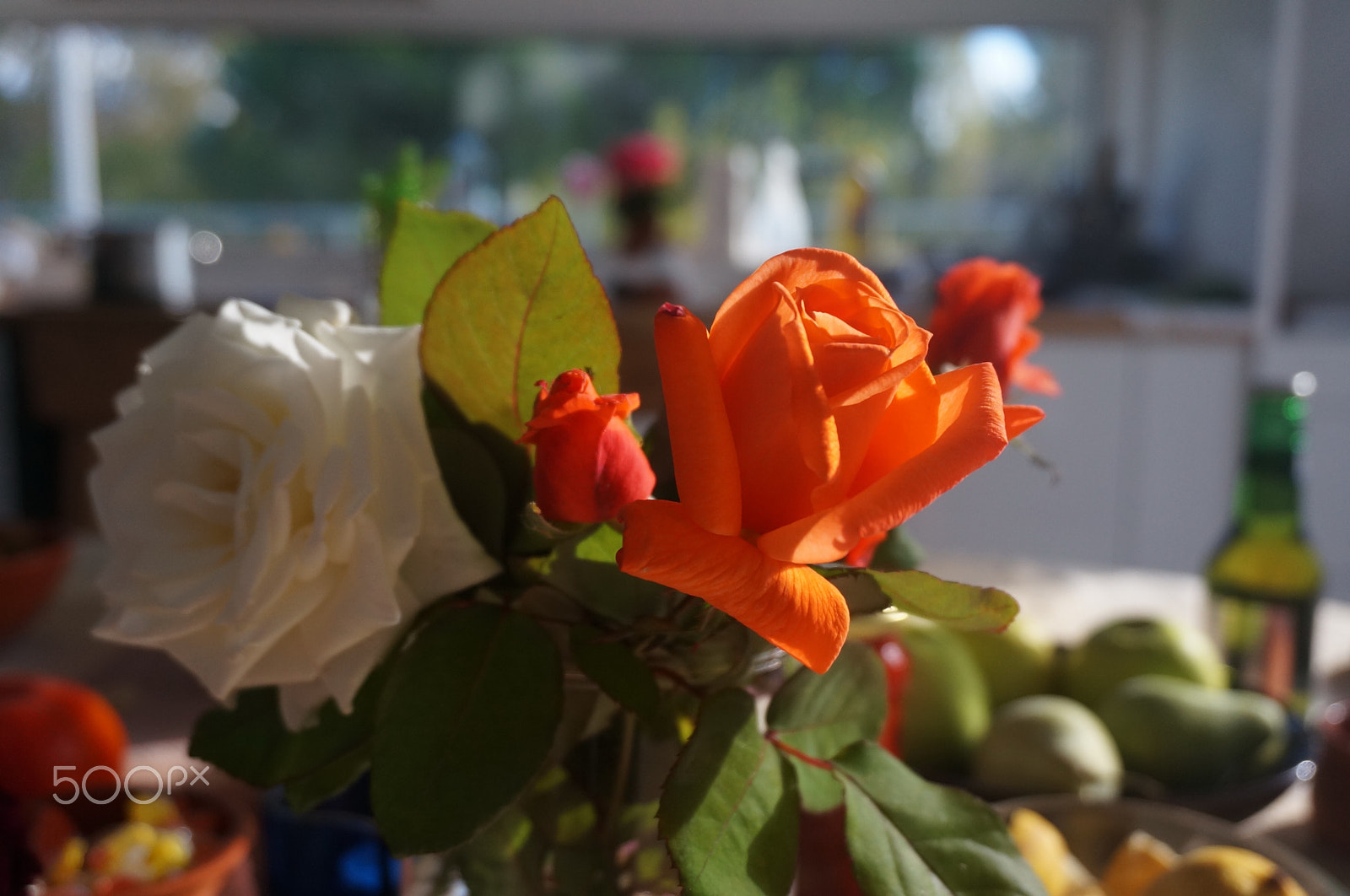 Sony Alpha NEX-5T sample photo. Still life with roses photography