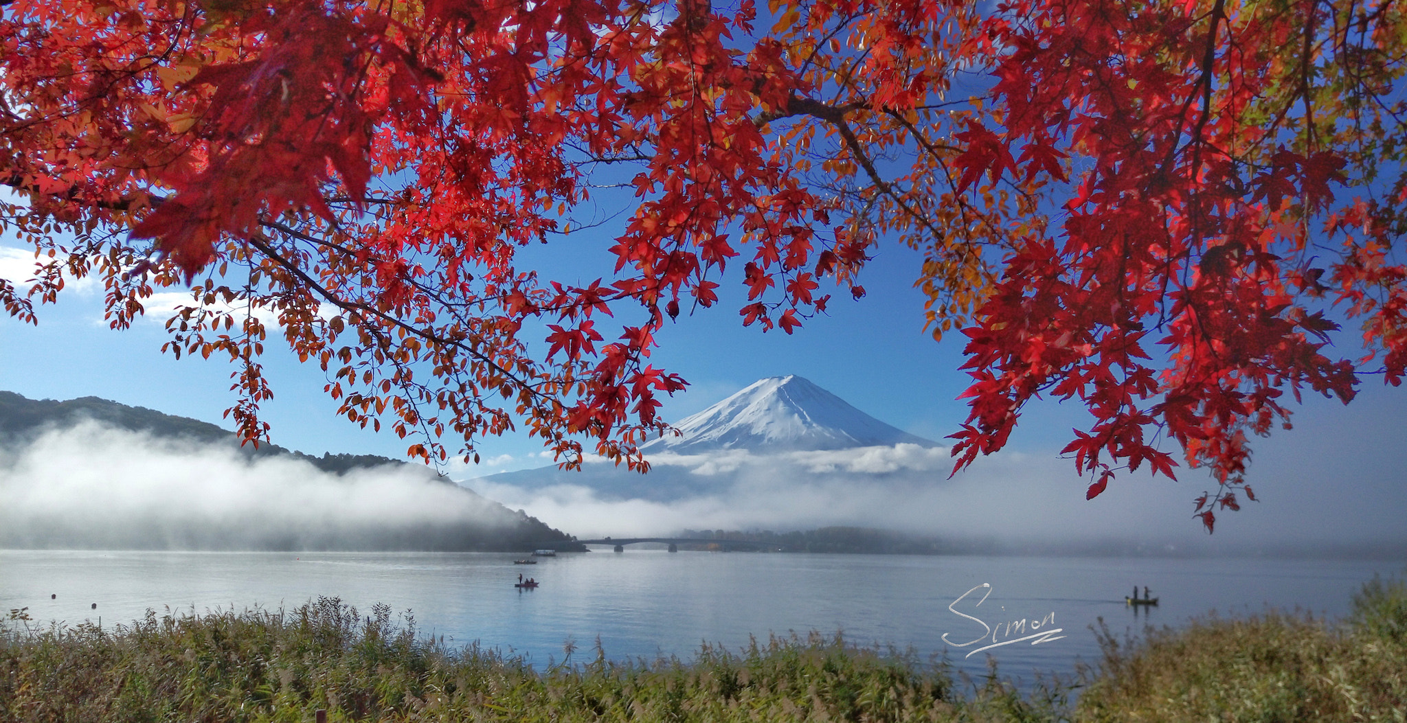 Meizu MX5 sample photo. Mount fuji and maple photography