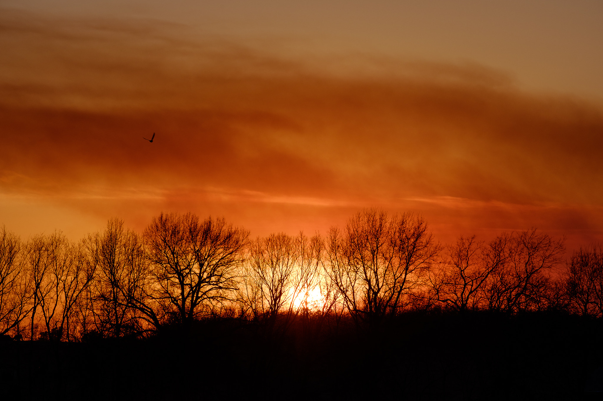 Fujifilm X-T1 sample photo. Fire in the sky photography