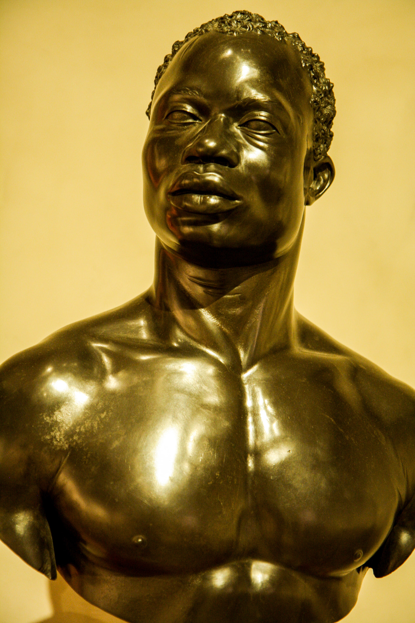 Canon EOS 1000D (EOS Digital Rebel XS / EOS Kiss F) sample photo. Strong bust large photography