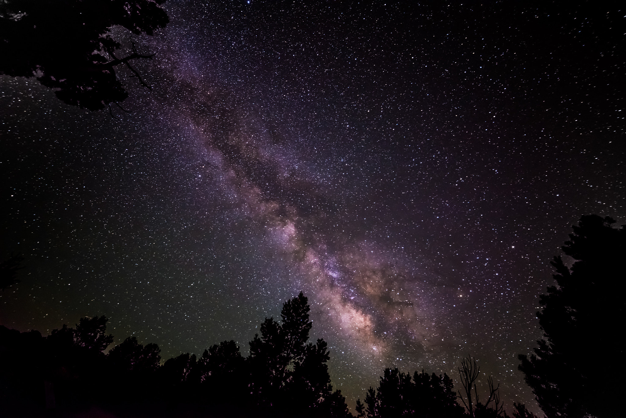 Samyang 14mm F2.8 ED AS IF UMC sample photo. Milky way over grand canyon photography