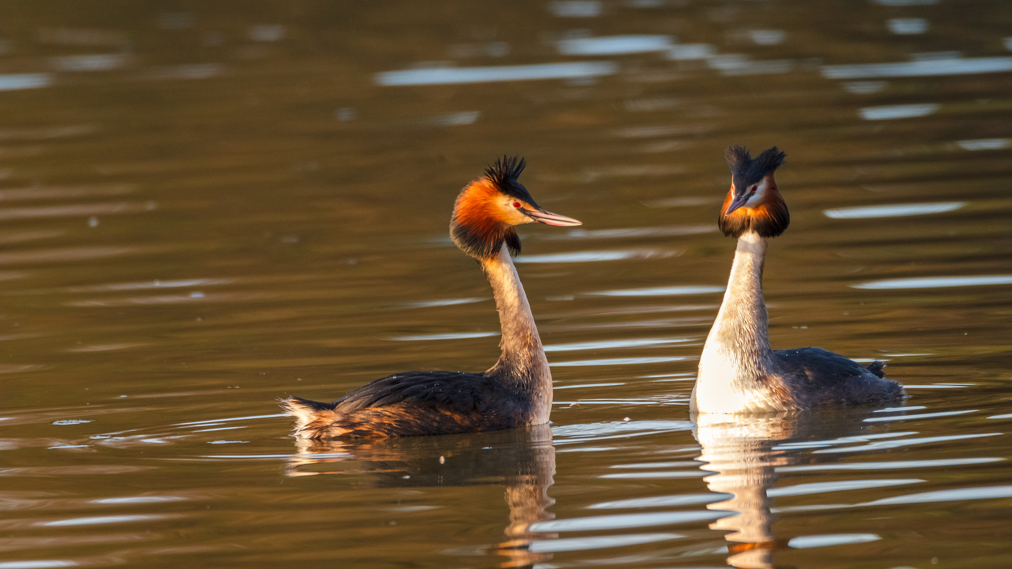 Tamron SP 150-600mm F5-6.3 Di VC USD sample photo. Reflection photography