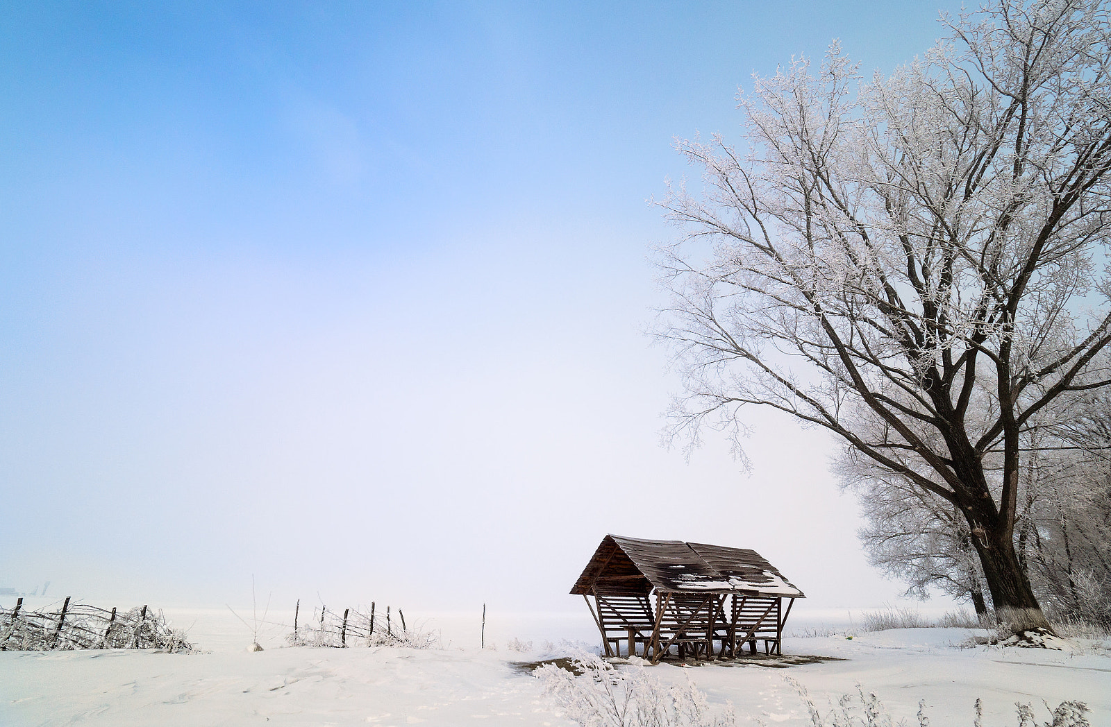 Olympus OM-D E-M5 II + Olympus M.Zuiko Digital ED 7-14mm F2.8 PRO sample photo. From deep white ... photography