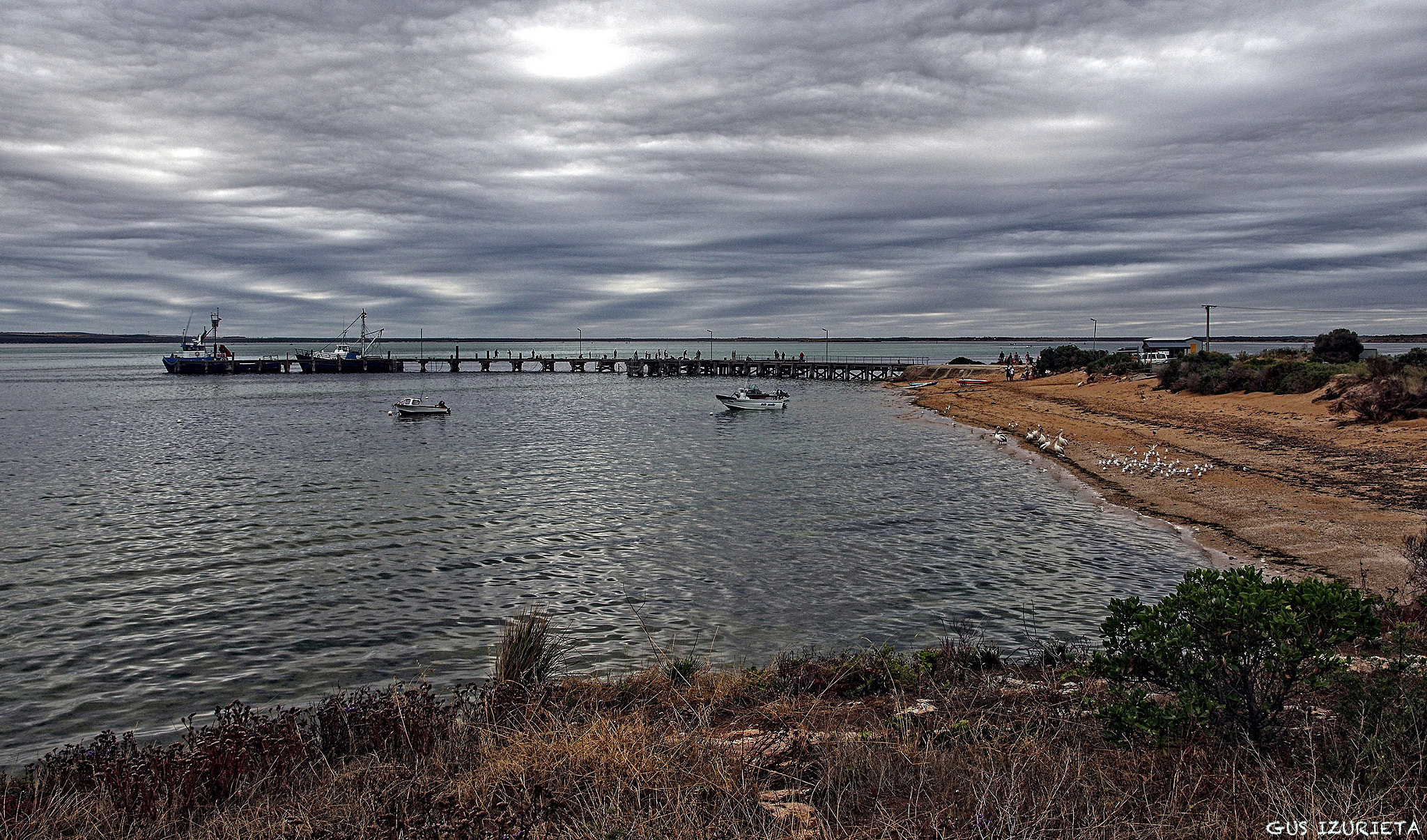Sigma AF 10-20mm F4-5.6 EX DC sample photo. Eyre penisula photography