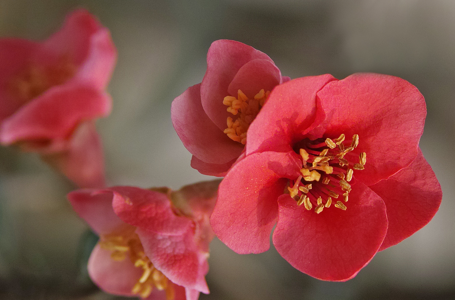 Sigma sd Quattro sample photo