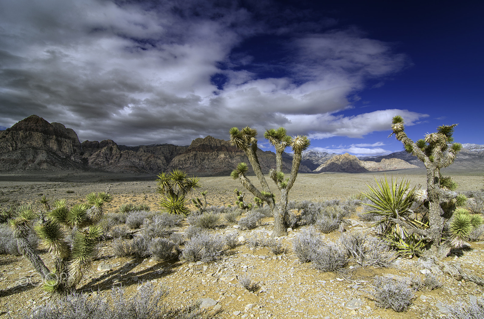 Tokina AT-X Pro 11-16mm F2.8 DX sample photo. Clouds over the mojave photography