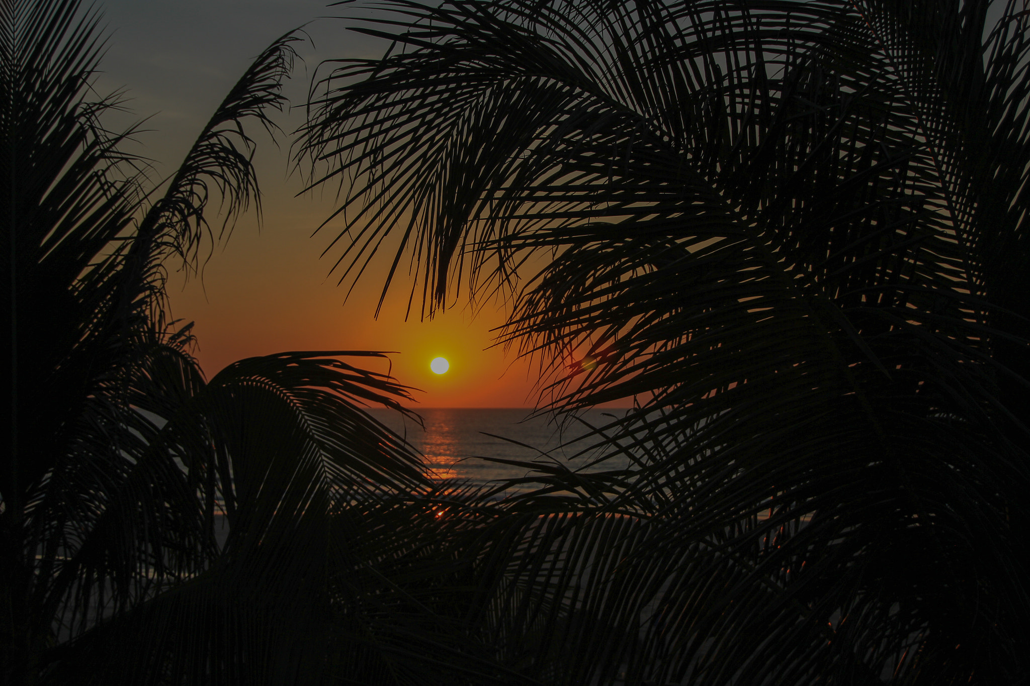 Canon EOS 550D (EOS Rebel T2i / EOS Kiss X4) sample photo. Sunset myanmar photography