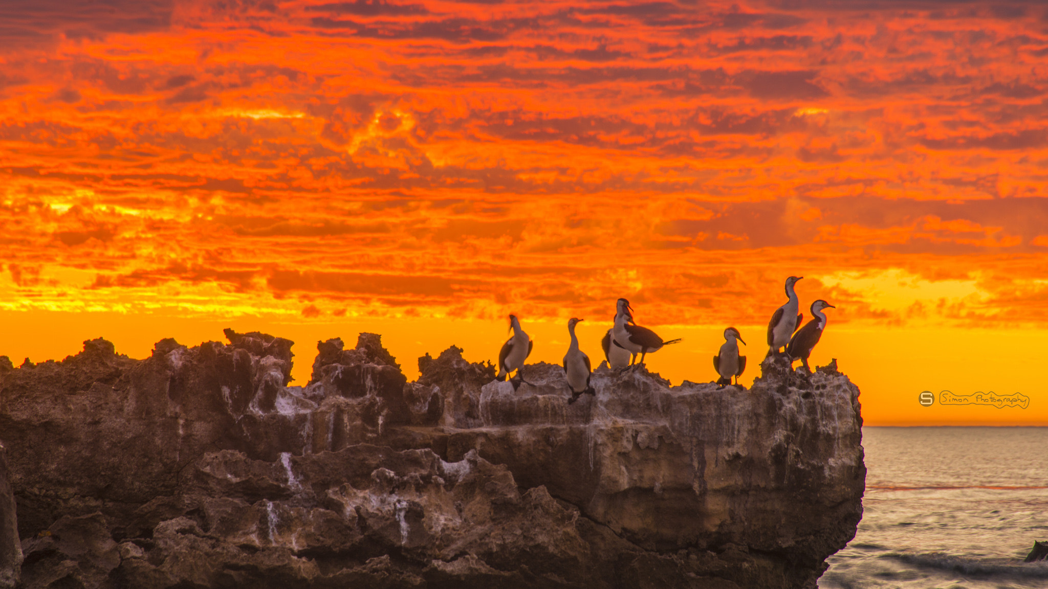 Nikon D800 sample photo. Senset in trigg beach  photography