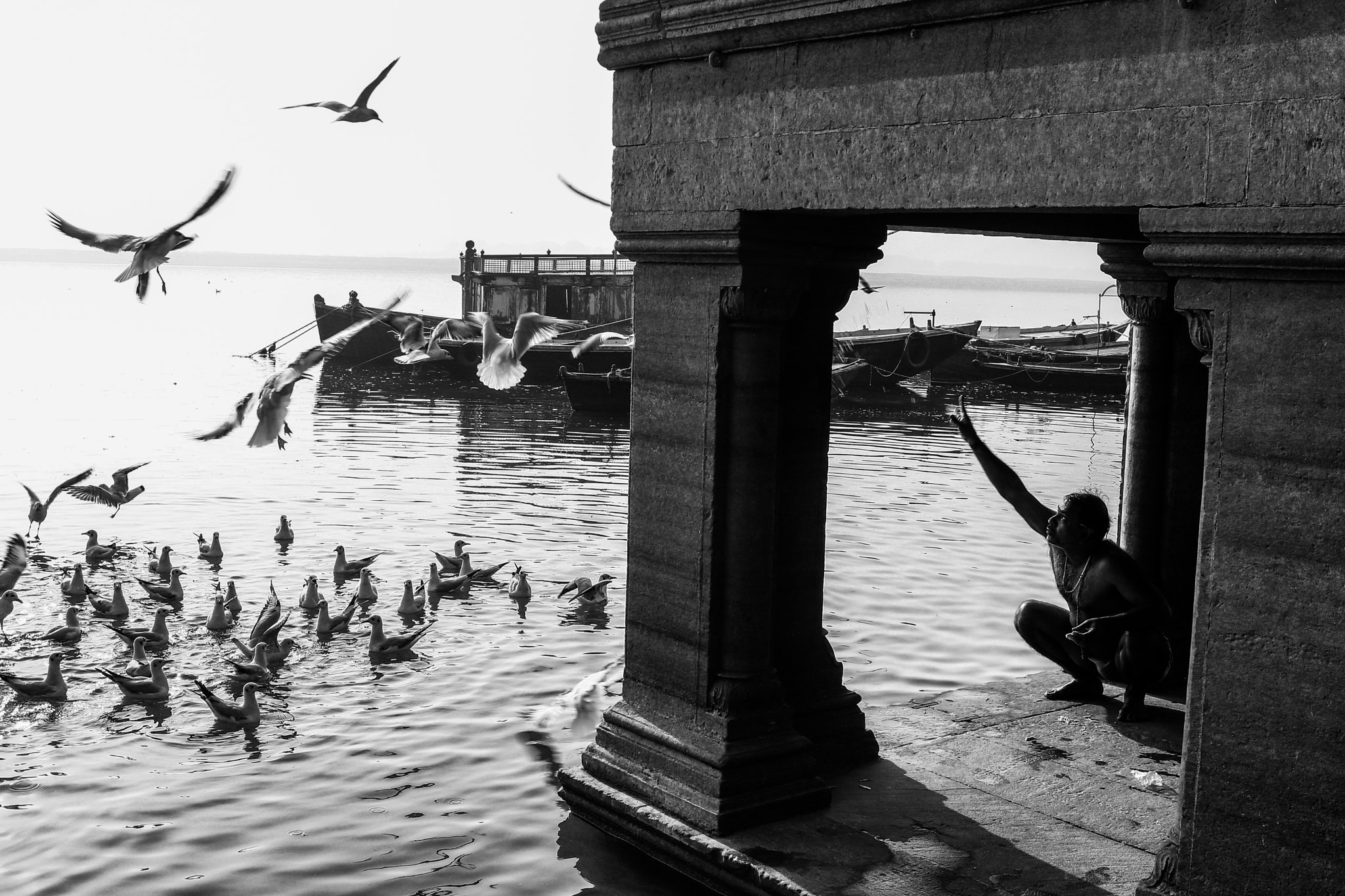 Canon EF-S 24mm F2.8 STM sample photo. Feeding birds photography