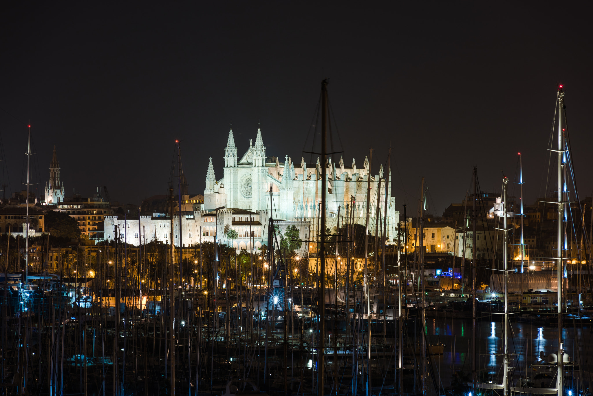 Nikon AF-Nikkor 80-200mm F2.8D ED sample photo. Palma nocturna photography