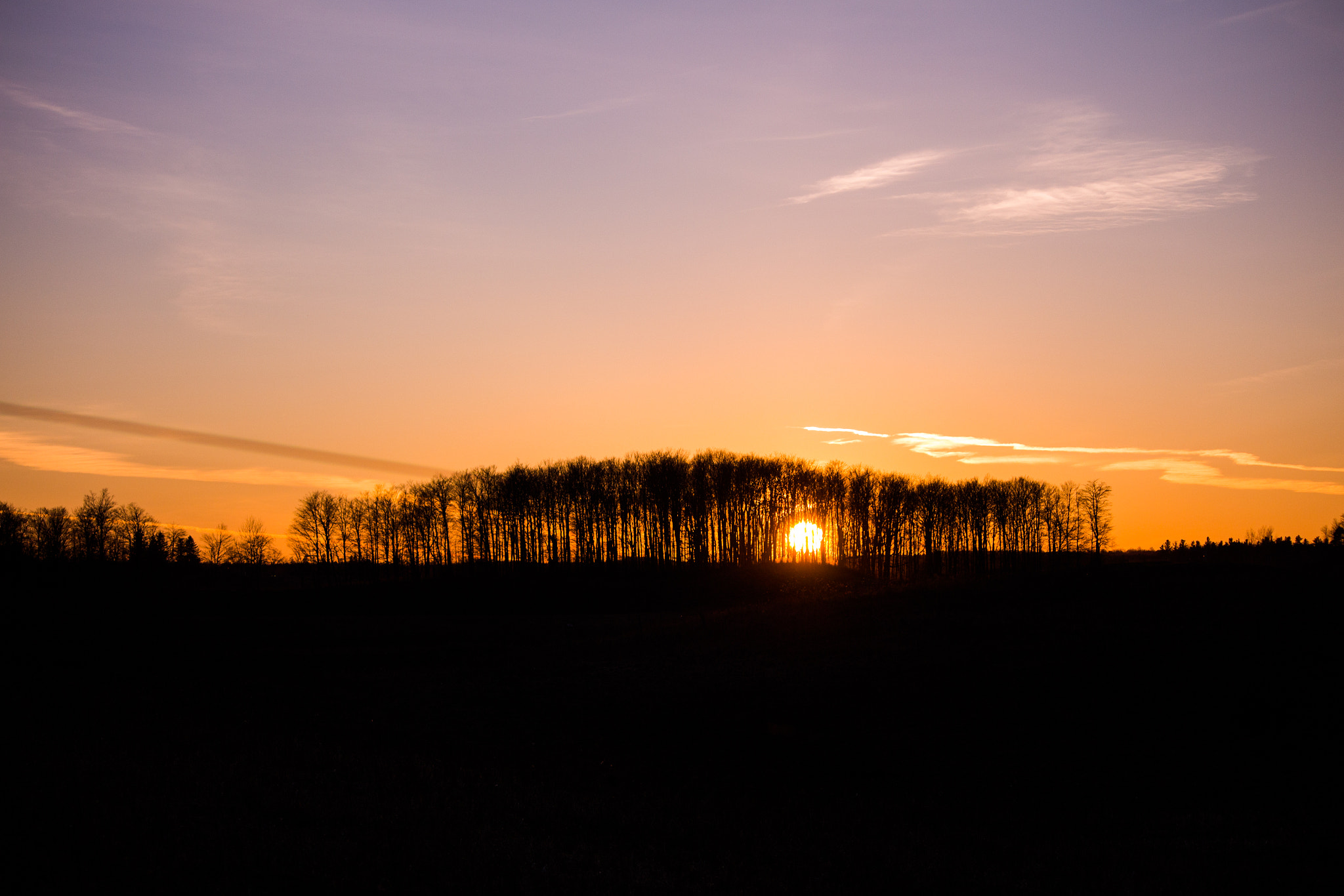 Canon EF-S 55-250mm F4-5.6 IS II sample photo. The sunset express photography
