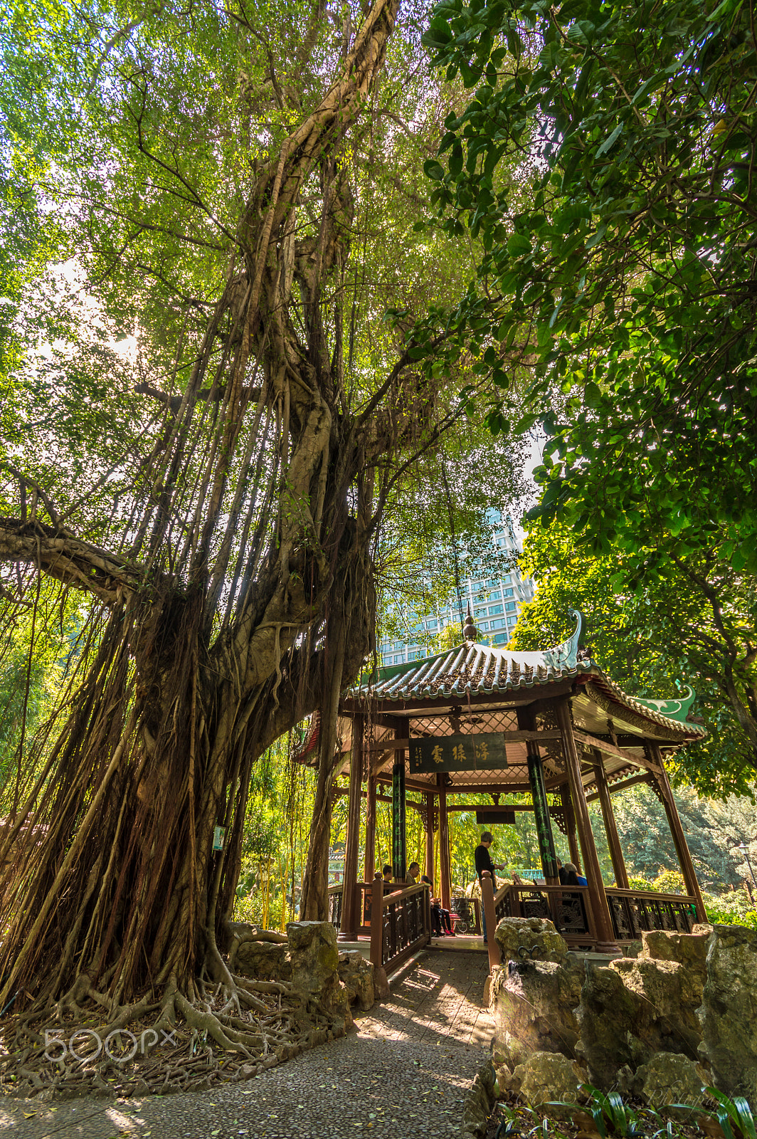 Sigma 10-20mm F4-5.6 EX DC HSM sample photo. Chinese garden photography