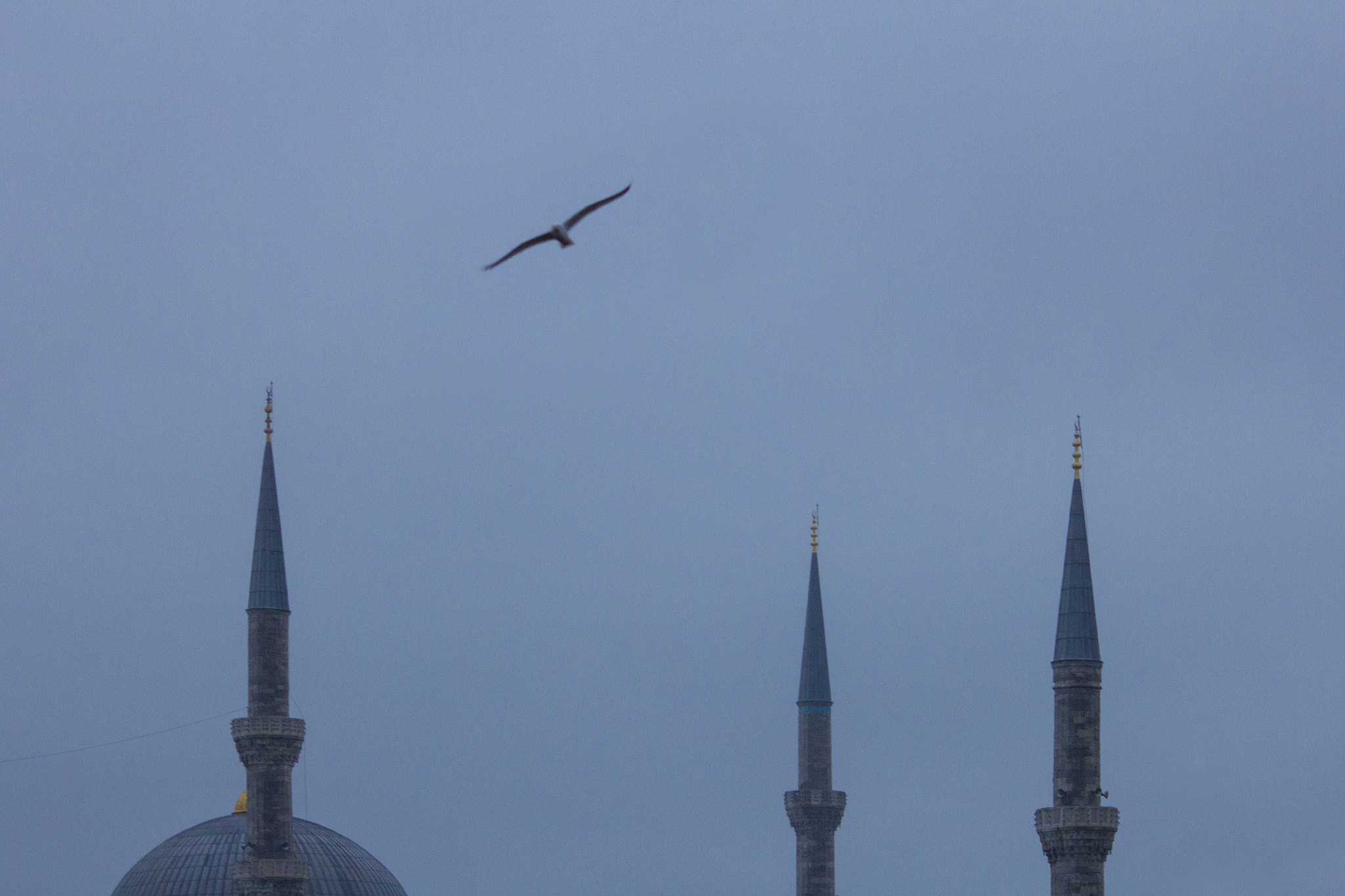 Canon EOS 60D + Sigma 50-200mm F4-5.6 DC OS HSM sample photo. Blue mosque, istanbul photography