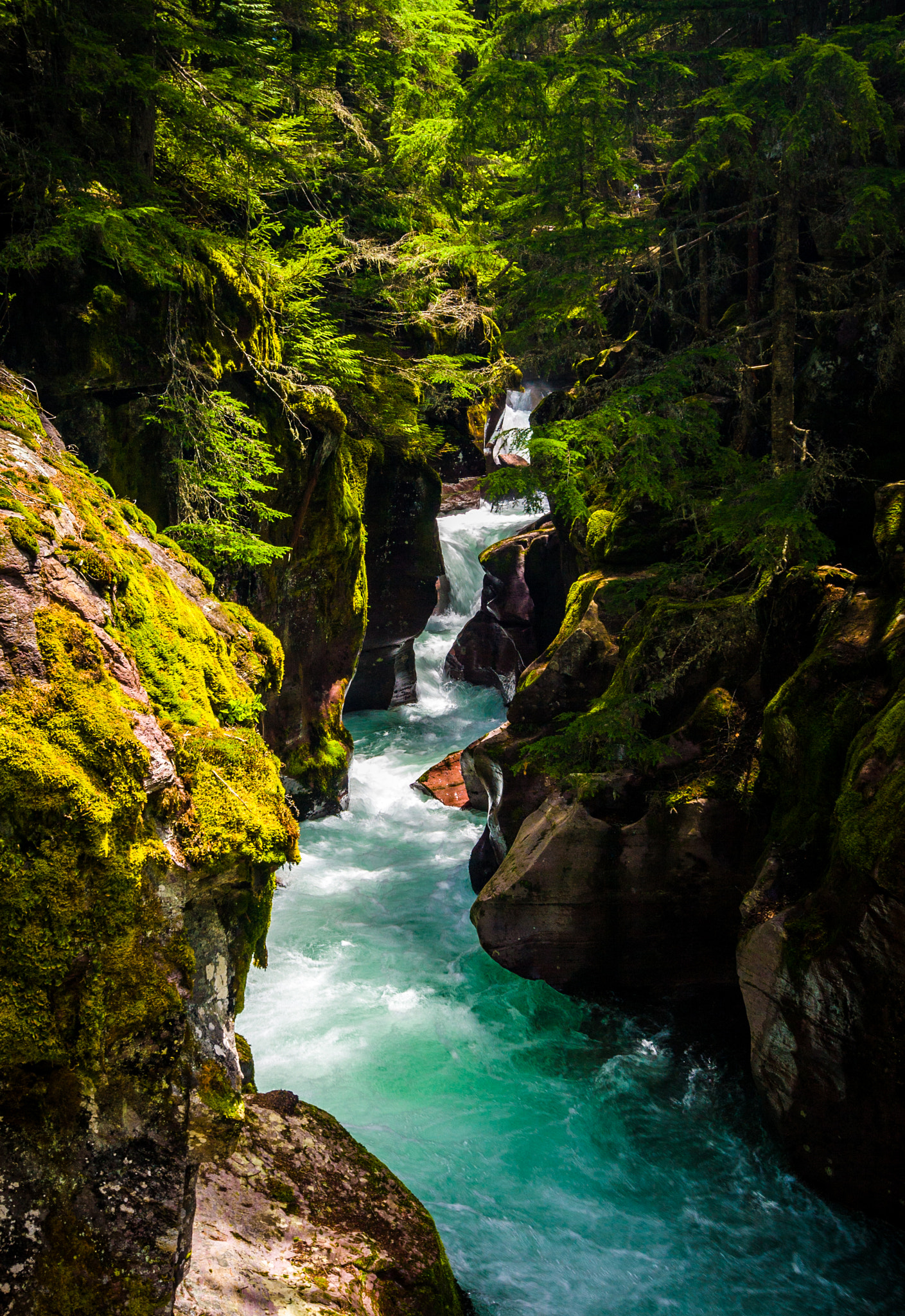 Canon EOS 30D sample photo. Avalanche creek photography