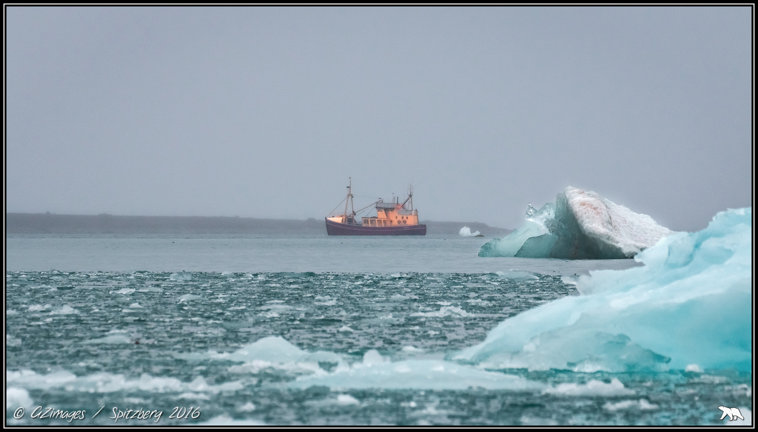 Canon EF 70-300mm F4-5.6L IS USM sample photo. Svalbard expédition photography