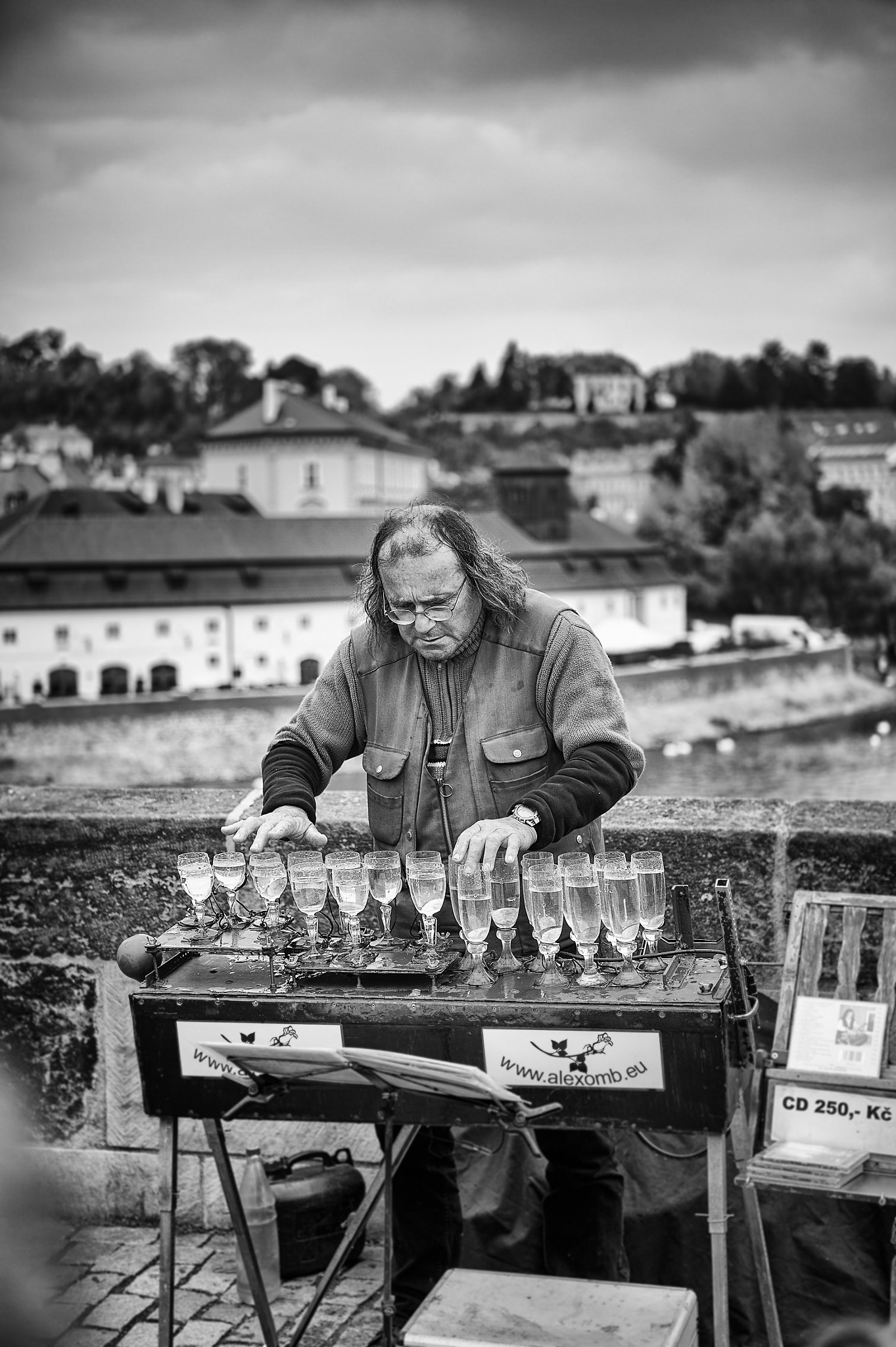 Nikon Df sample photo. Glass harp photography