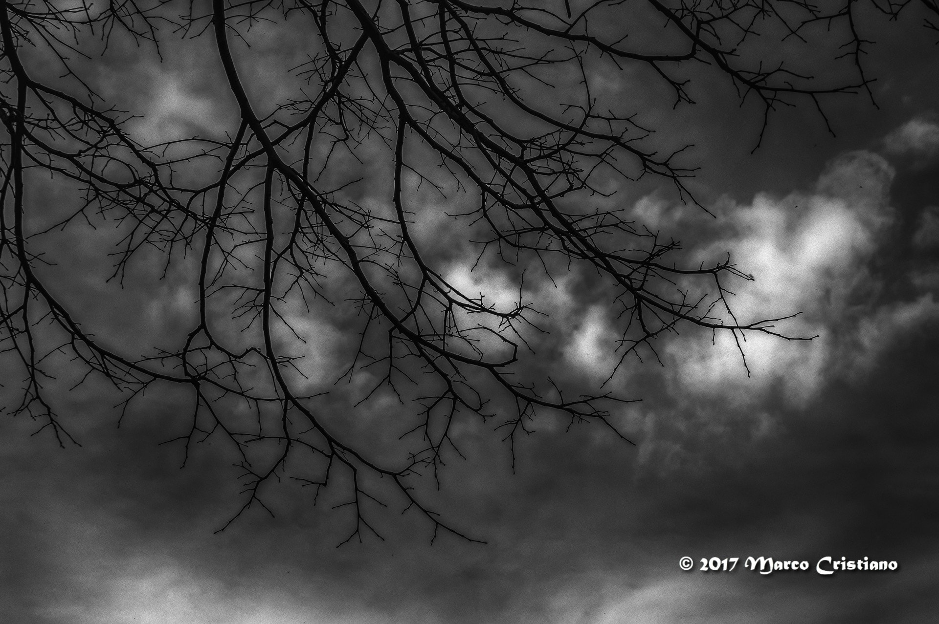 Nikon D3200 sample photo. Le braccia al cielo.. photography
