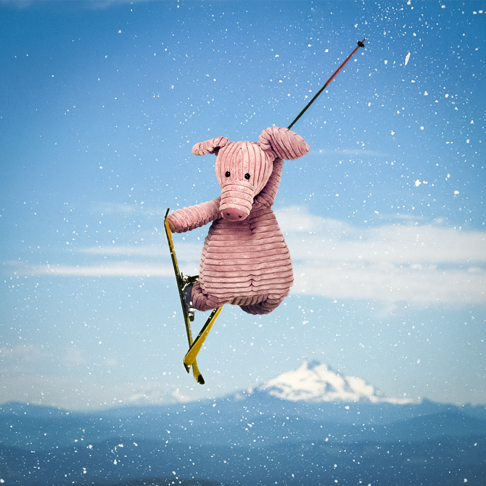Olympus OM-D E-M5 sample photo. Piggy skiing collage photography
