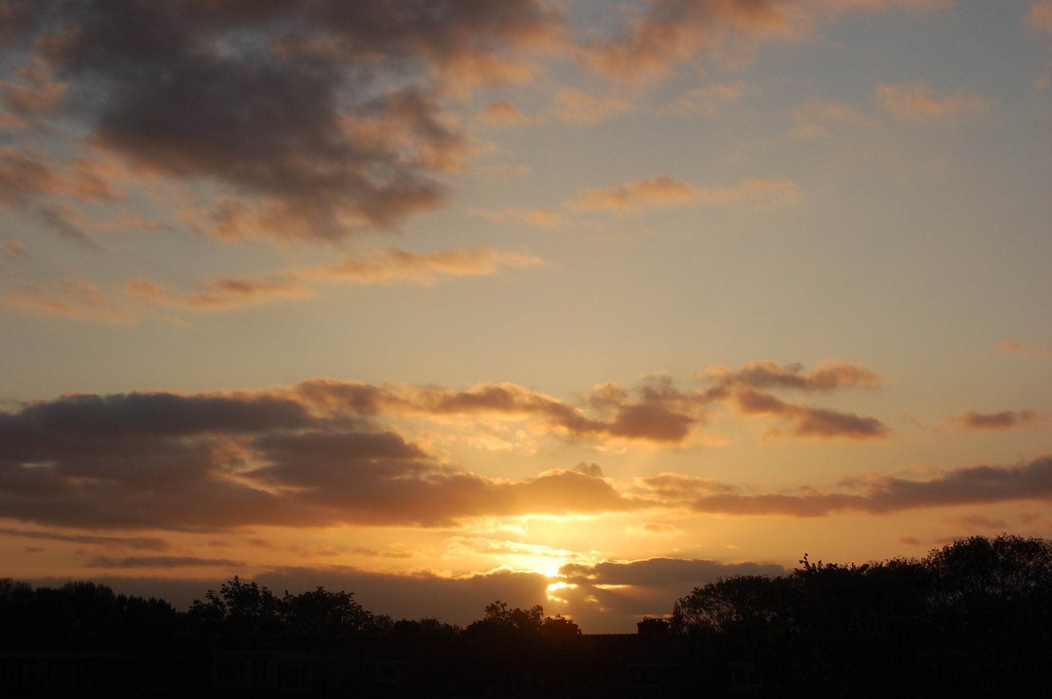 Nikon D40 sample photo. Good morning world photography