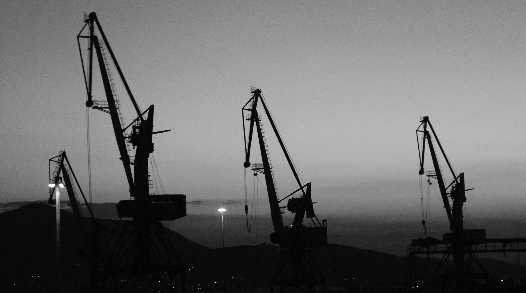 AF Zoom-Nikkor 28-105mm f/3.5-4.5D IF sample photo. Storks photography