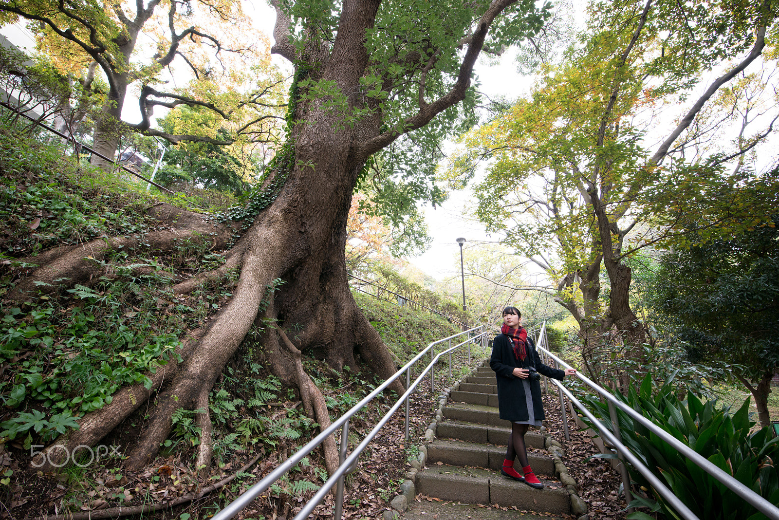 Tamron SP 15-30mm F2.8 Di VC USD sample photo. Untitled photography