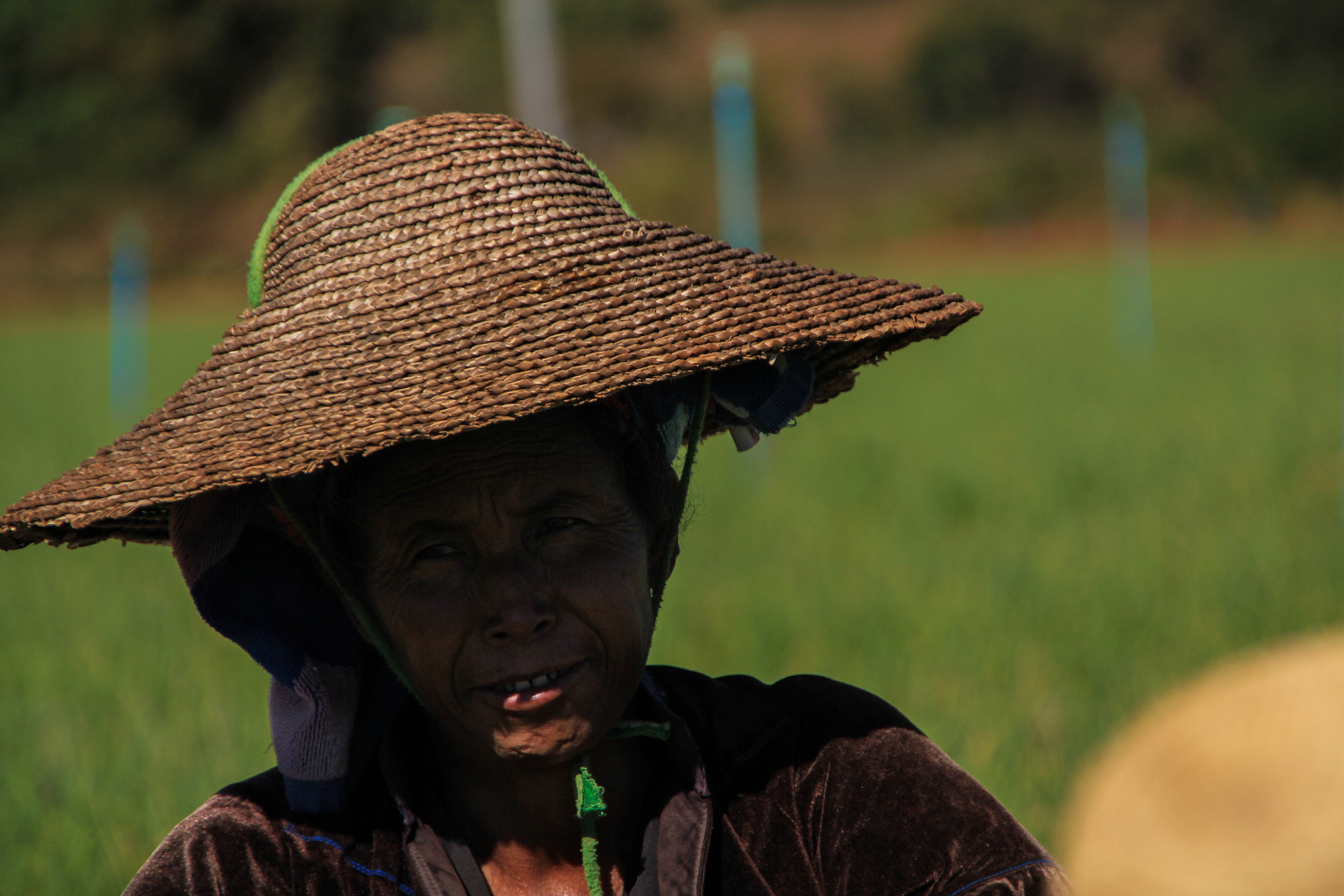 Sigma 18-250mm F3.5-6.3 DC OS HSM sample photo. At work on the field photography