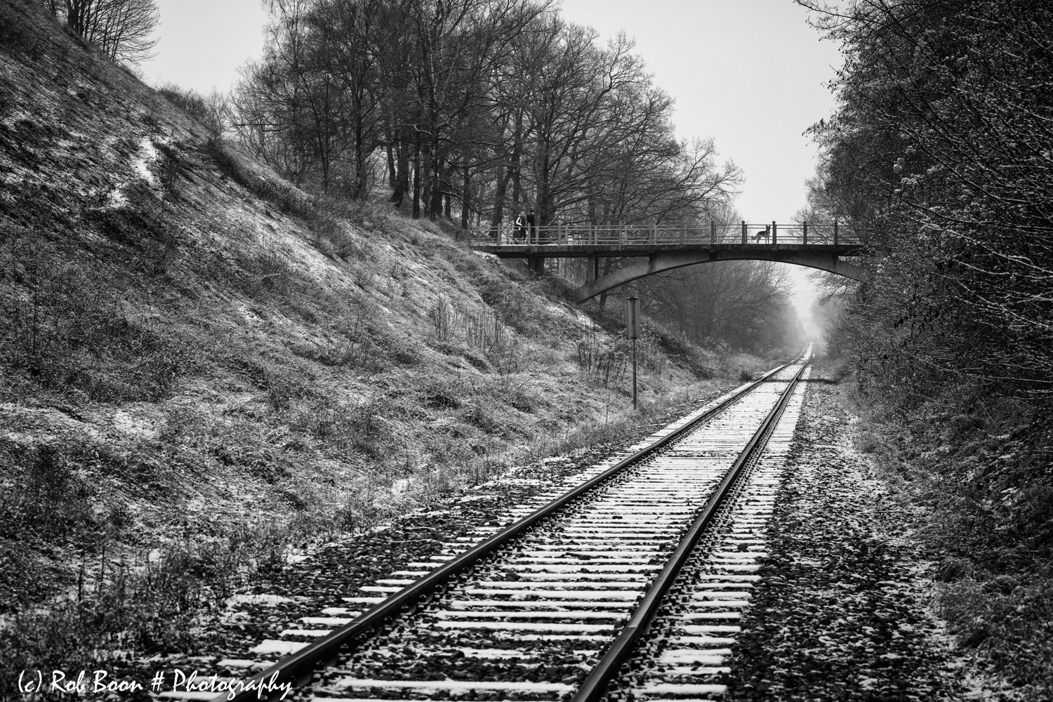 Canon EOS 5DS sample photo. Endless railway track 1 photography