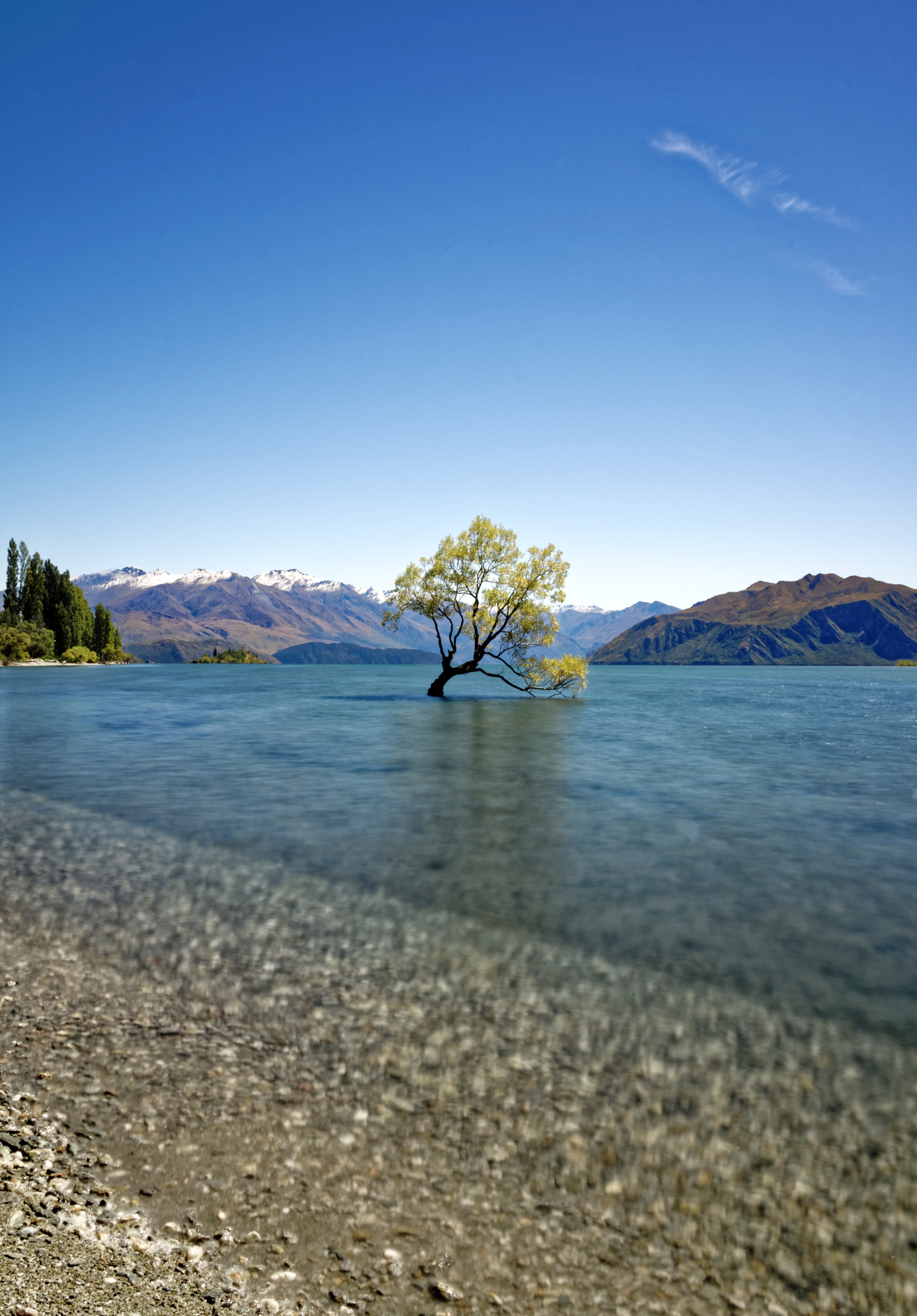 Sigma 18-300mm F3.5-6.3 DC Macro HSM sample photo. Wanaka tree photography
