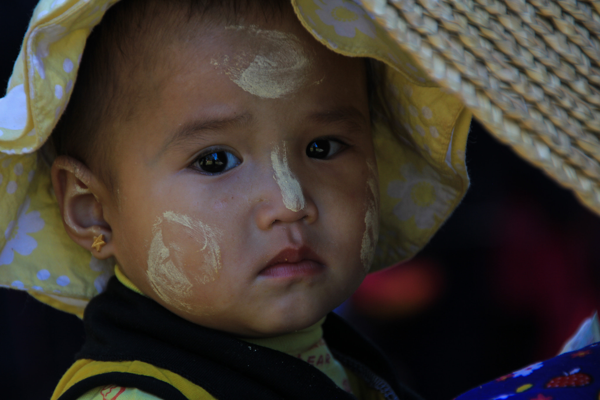 Sigma 18-250mm F3.5-6.3 DC OS HSM sample photo. Who are you photography