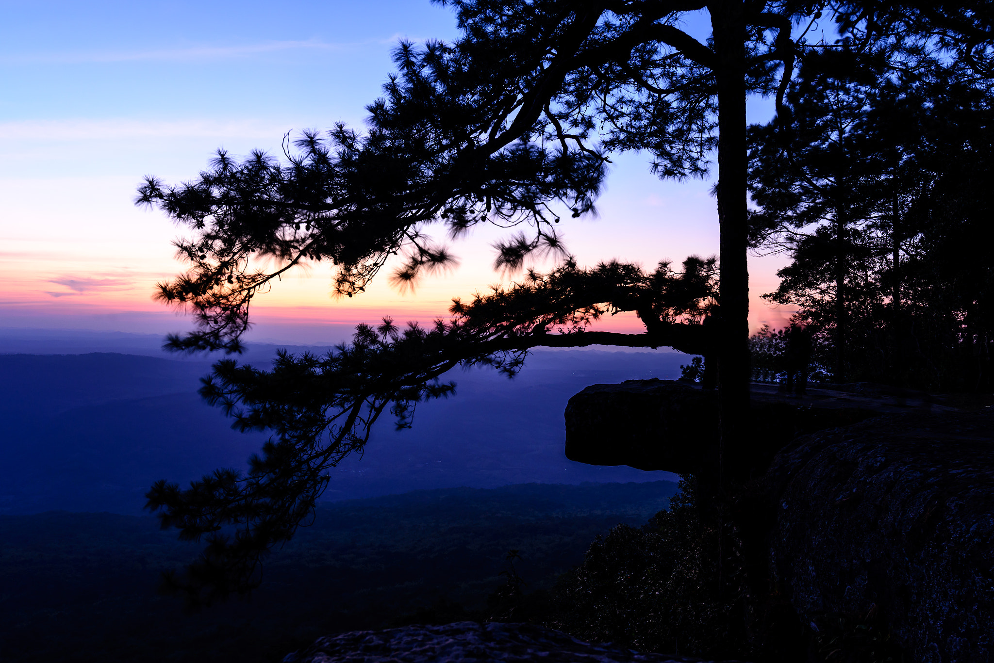 Nikon AF-S Nikkor 18-35mm F3.5-4.5G ED sample photo. Beautiful sunset with pine tree on mountain cliff, lom sak cliff photography