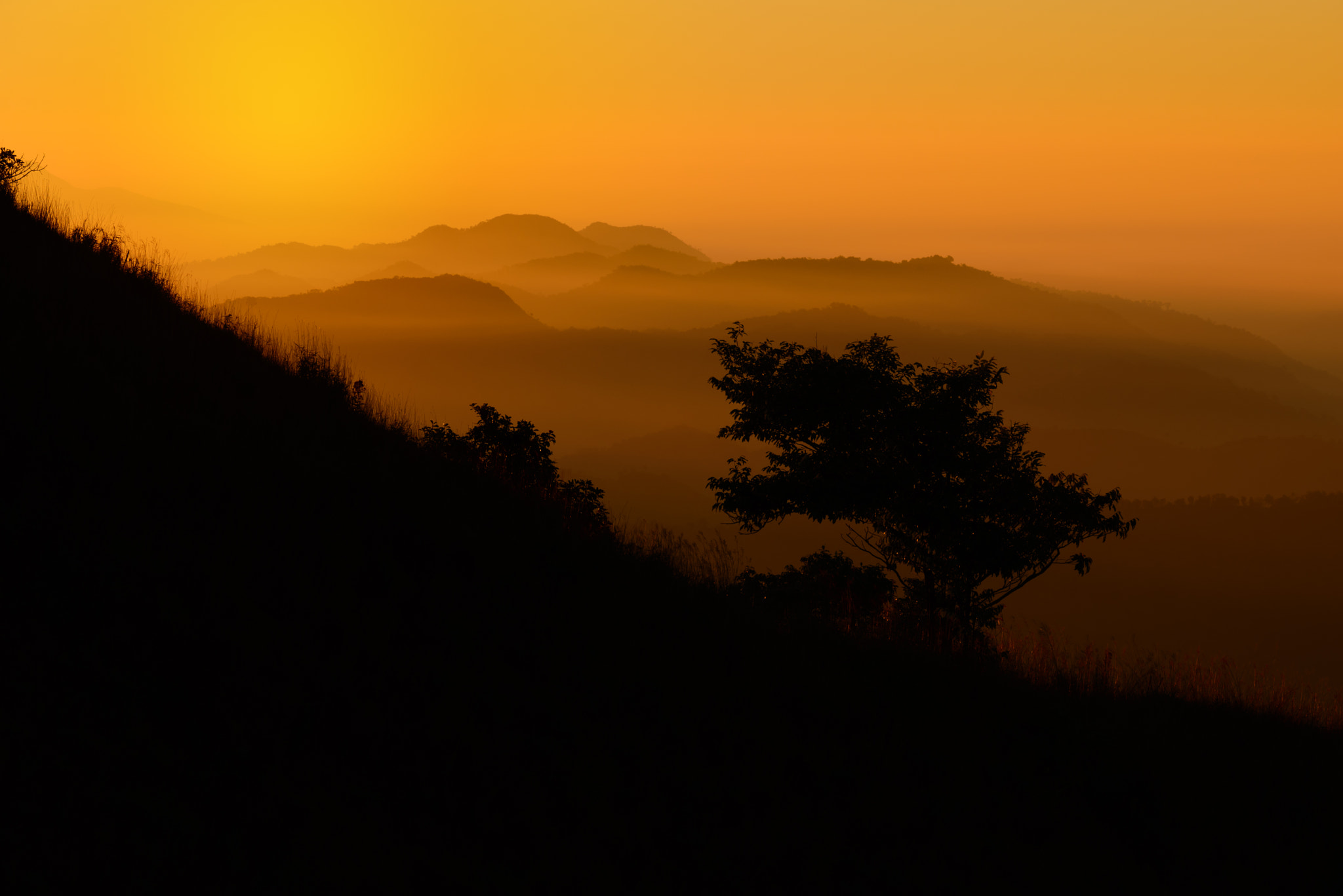 Nikon D610 sample photo. Silhouette tree on mountain slope at sunrise. photography