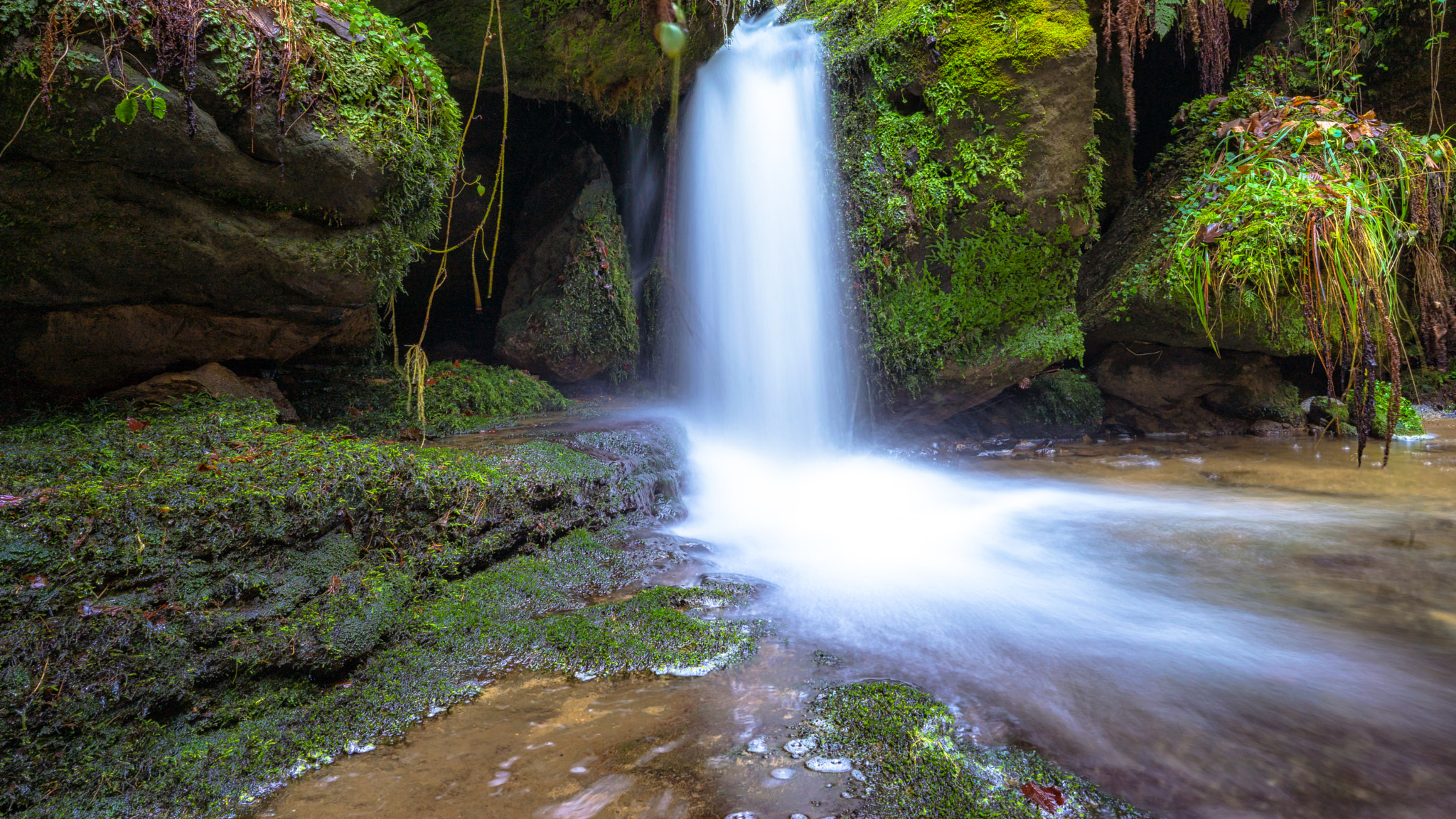 Sony a7 II + ZEISS Batis 25mm F2 sample photo. Amselfall photography