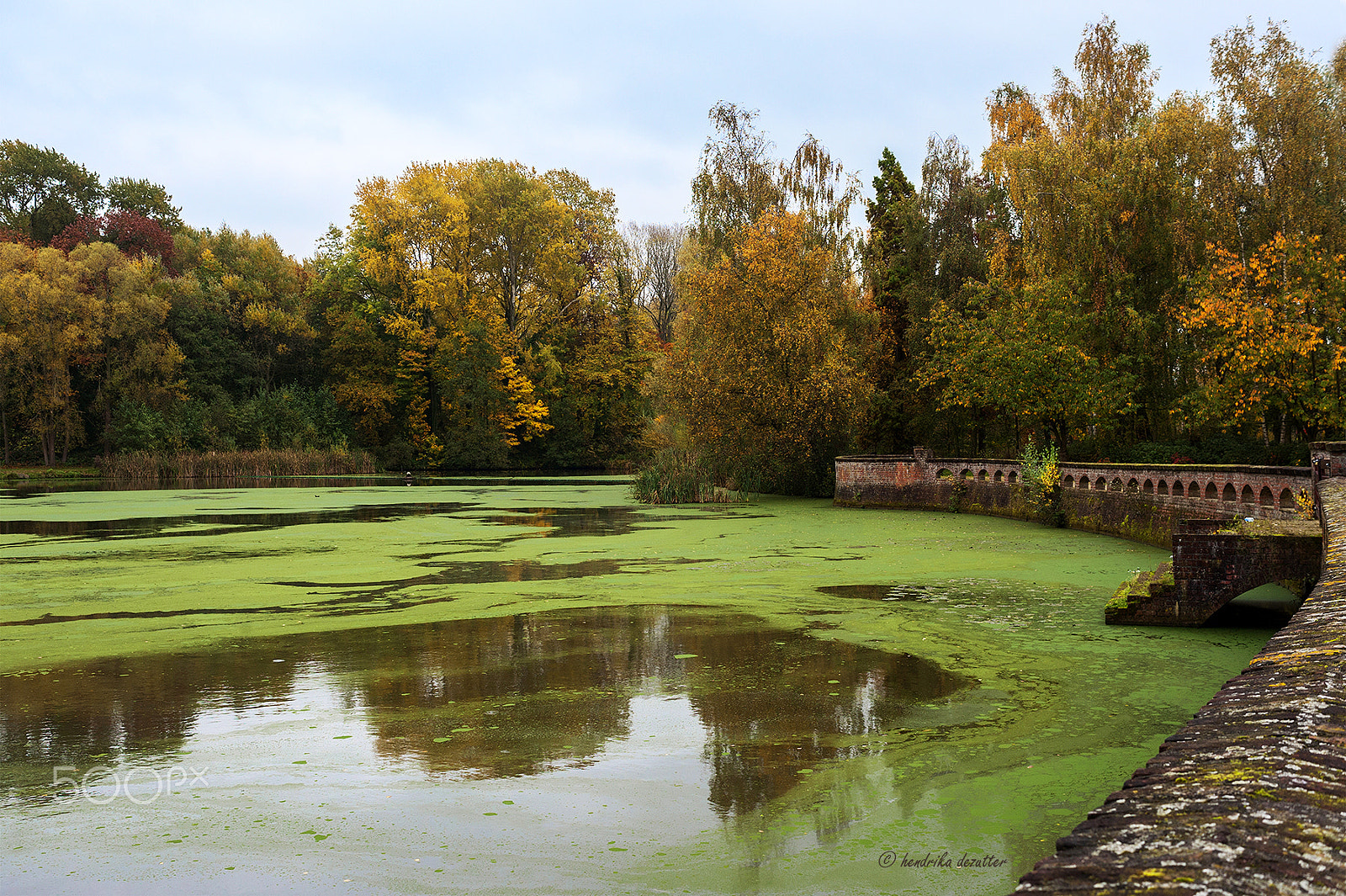 Nikon D3 sample photo. Green area in passendale, belgium photography