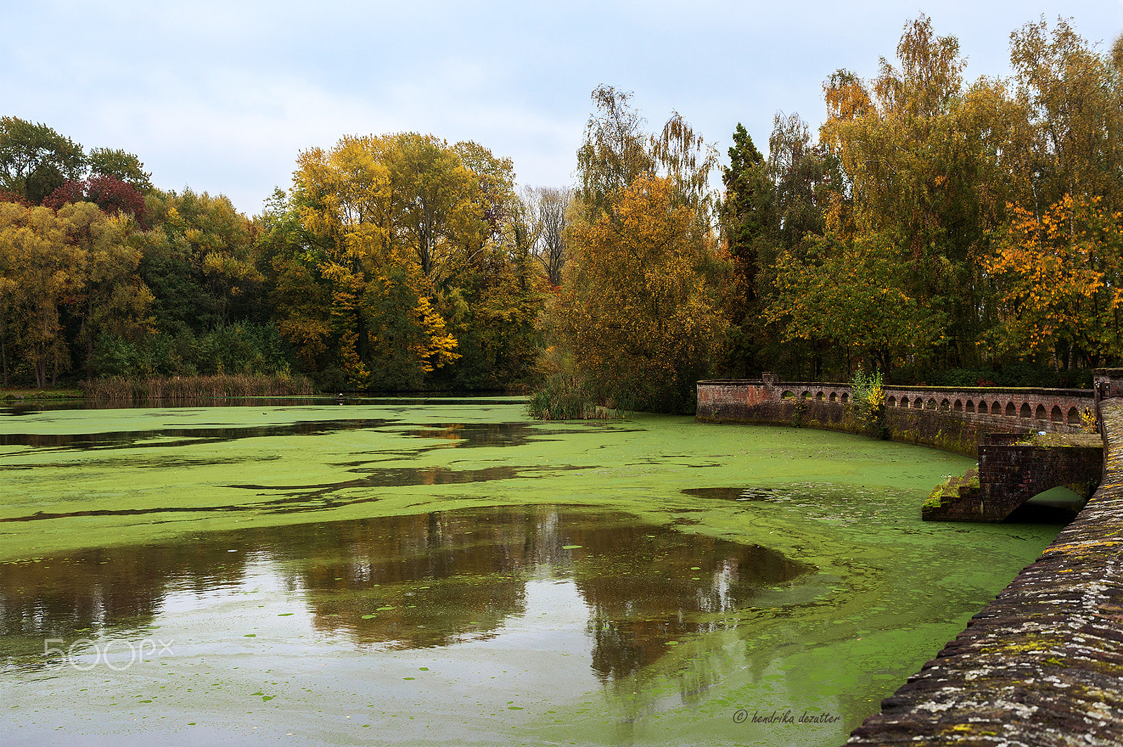 Nikon D3 + Nikon AF Nikkor 35mm F2D sample photo. Green area in passendale, belgium photography