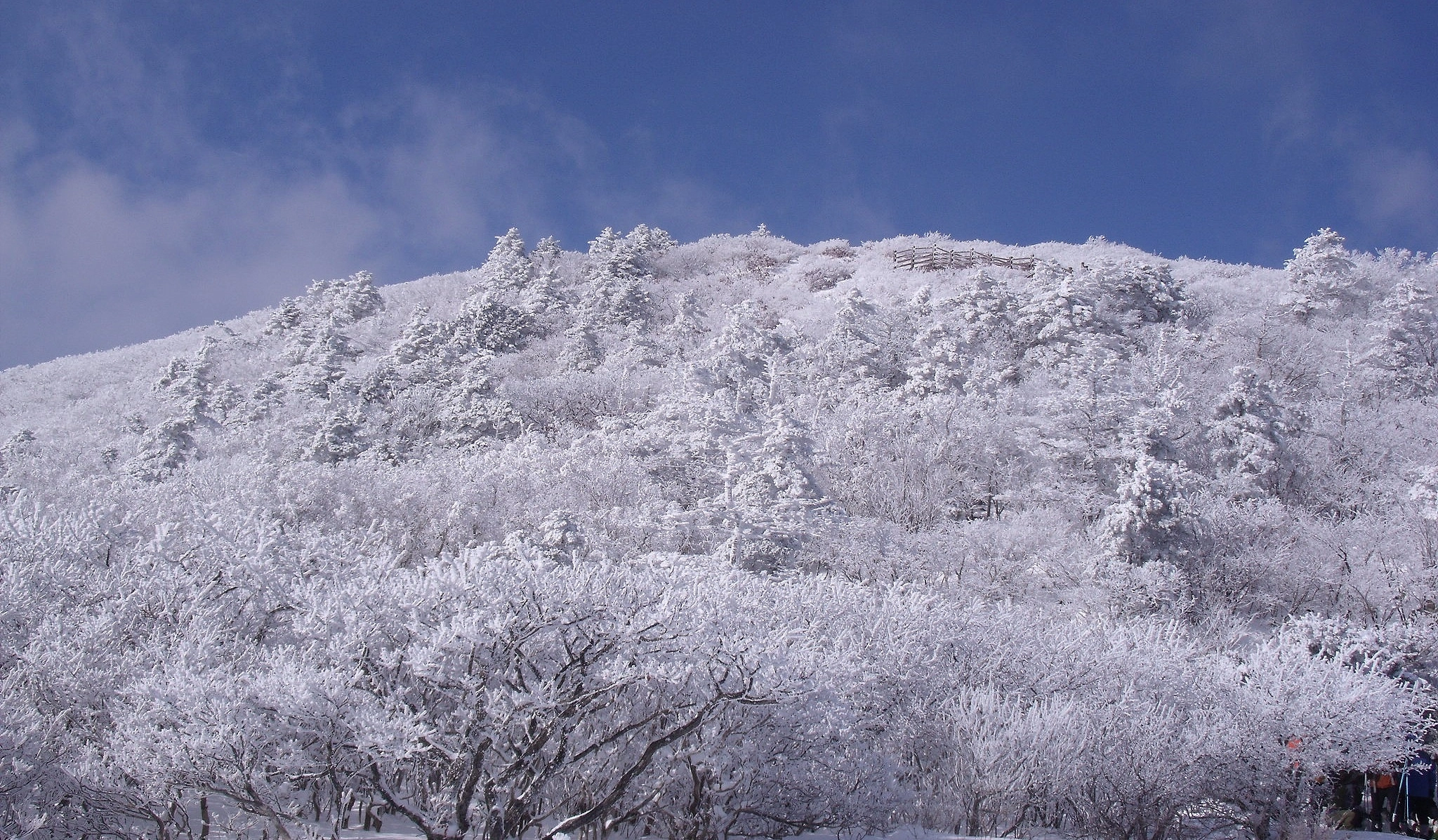 Fujifilm FinePix J110W sample photo. Taebaek mountain photography
