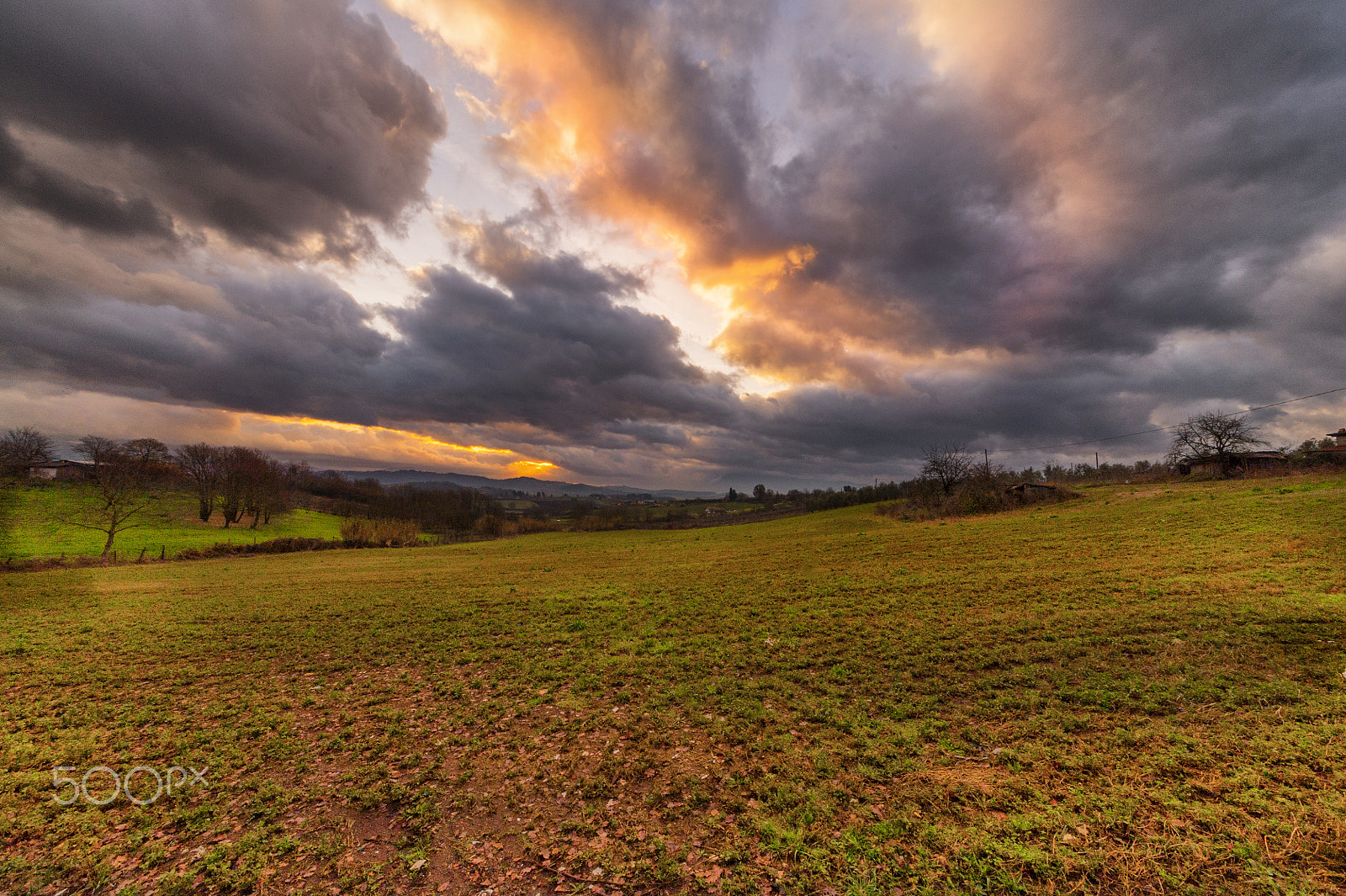 Nikon D700 + Sigma 12-24mm F4.5-5.6 II DG HSM sample photo. Sunrise in the fields photography