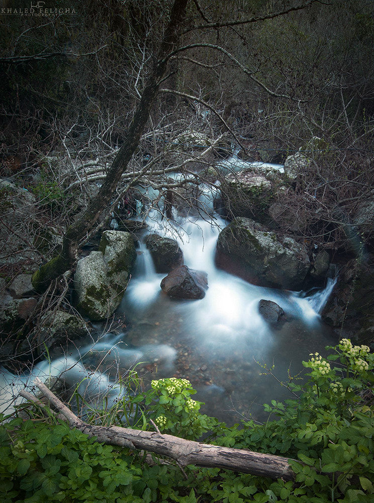 Nikon AF-S Nikkor 18-35mm F3.5-4.5G ED sample photo. Beauty valley photography