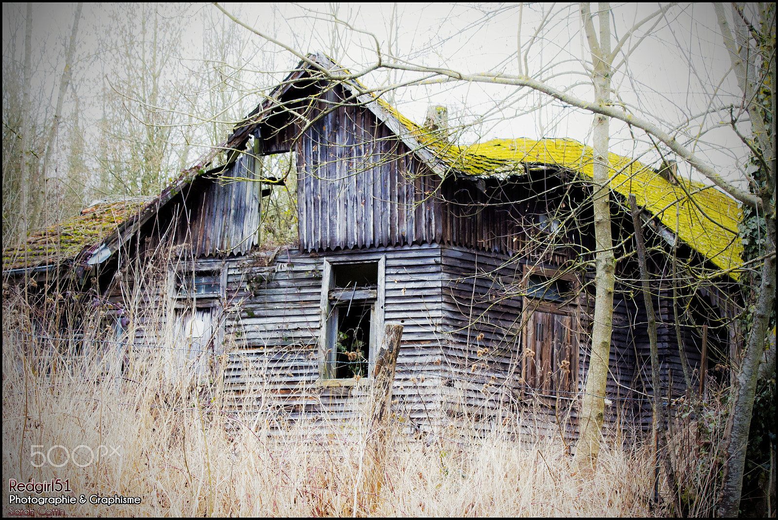 Canon EF 70-300mm F4-5.6 IS USM sample photo. Vieille maison abandonnée - meuse - france photography