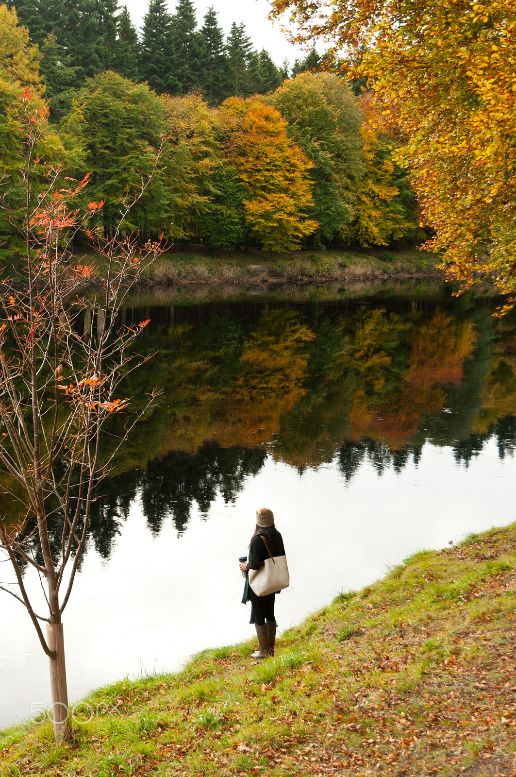 Nikon D5000 sample photo. An autumn view photography