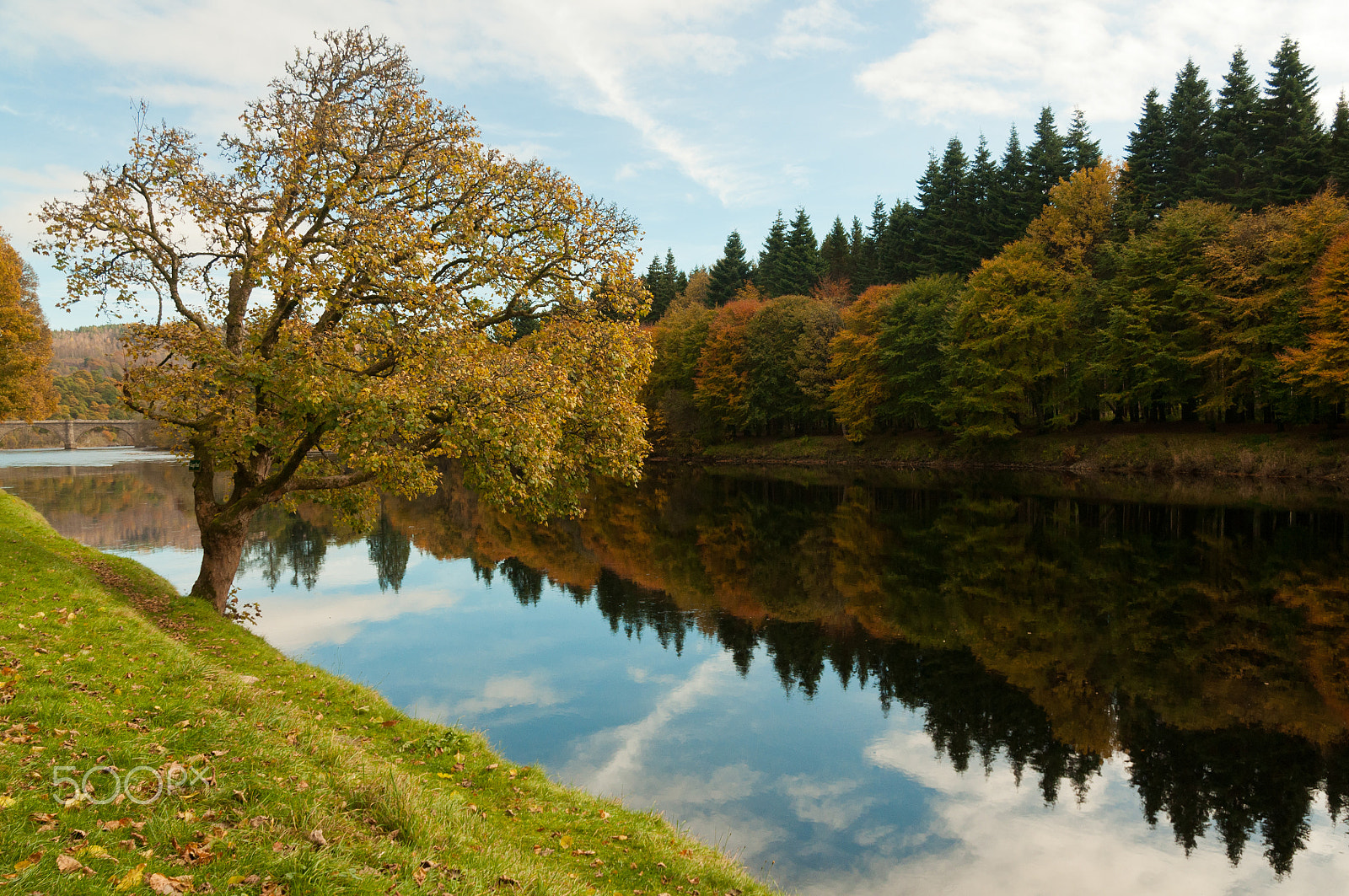 Nikon D5000 sample photo. A tree by the river photography