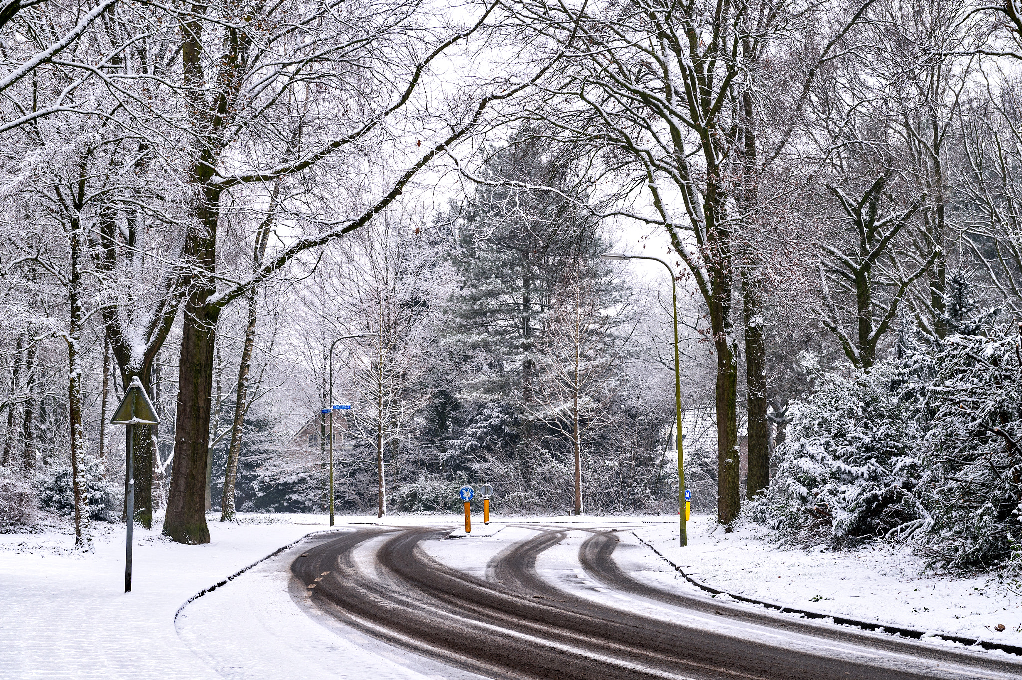 Nikon D4S sample photo. Just a road in my place... photography