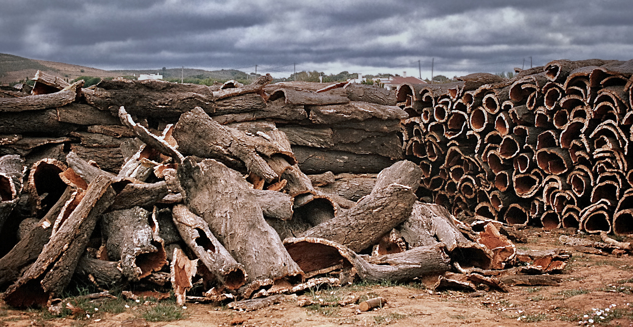 Nikon D80 + Sigma 50mm F2.8 EX DG Macro sample photo. The cork landfill photography