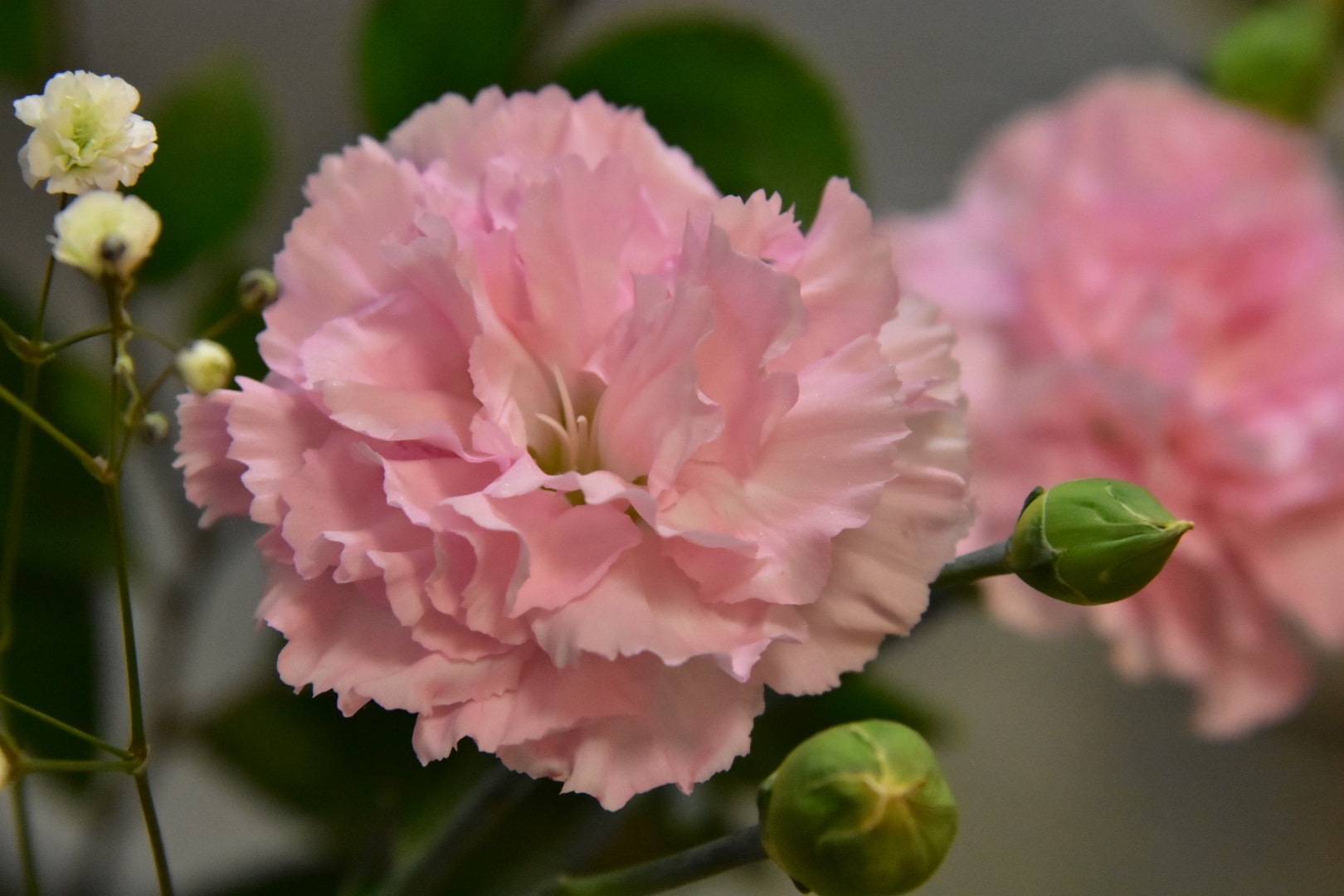 Nikon D7200 sample photo