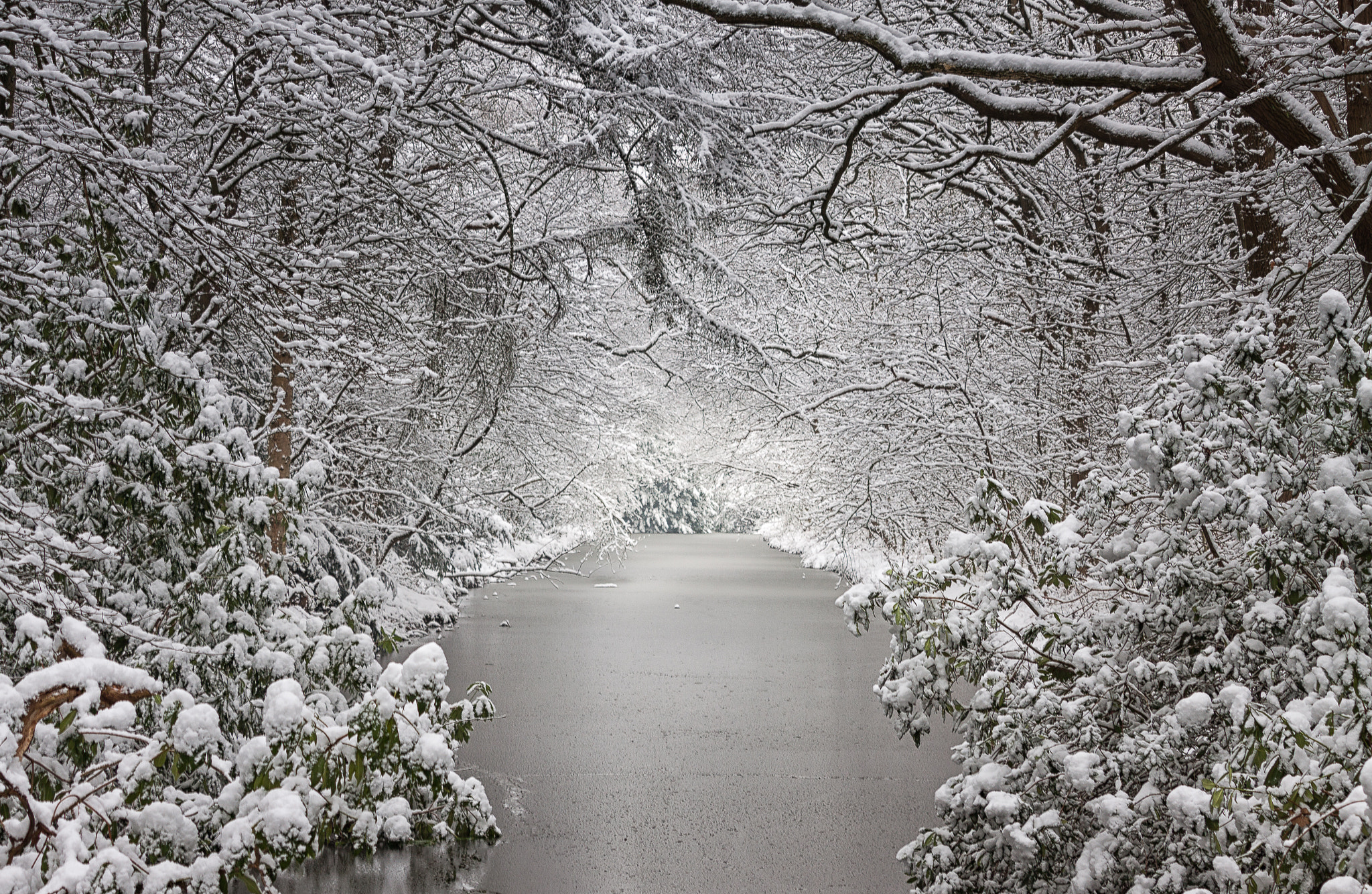 Canon EF-S 55-250mm F4-5.6 IS STM sample photo. Dutch winter photography