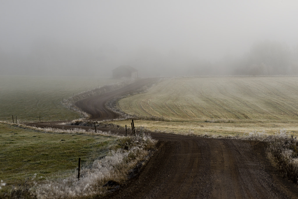 Sigma 120-400mm F4.5-5.6 DG OS HSM sample photo. Long and winding road photography