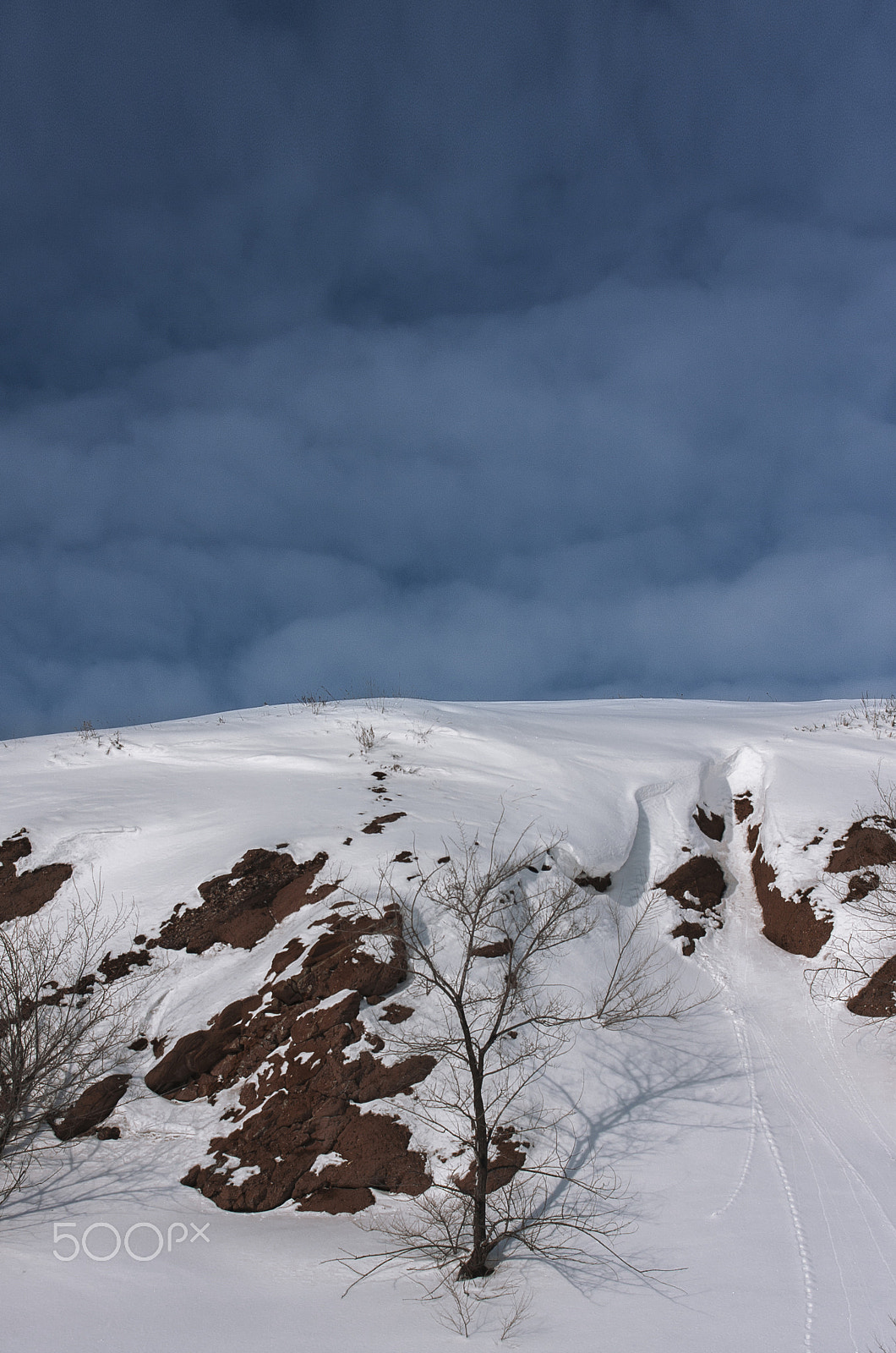 Canon EF 35-105mm f/3.5-4.5 sample photo. Nature background photography