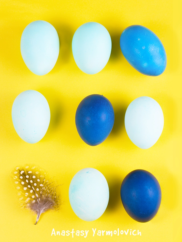 Canon EF-S 60mm F2.8 Macro USM sample photo. Essence of easter egg photography